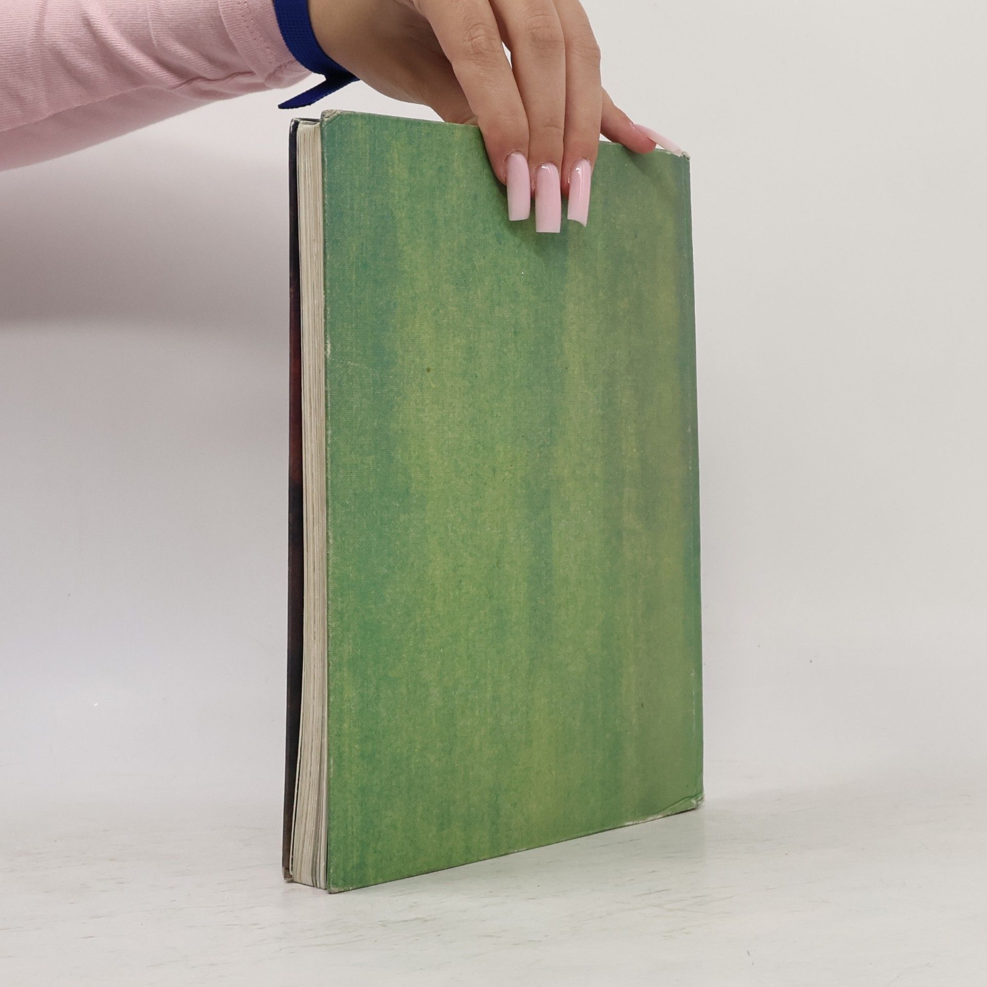 Geschichten aus der Bibel