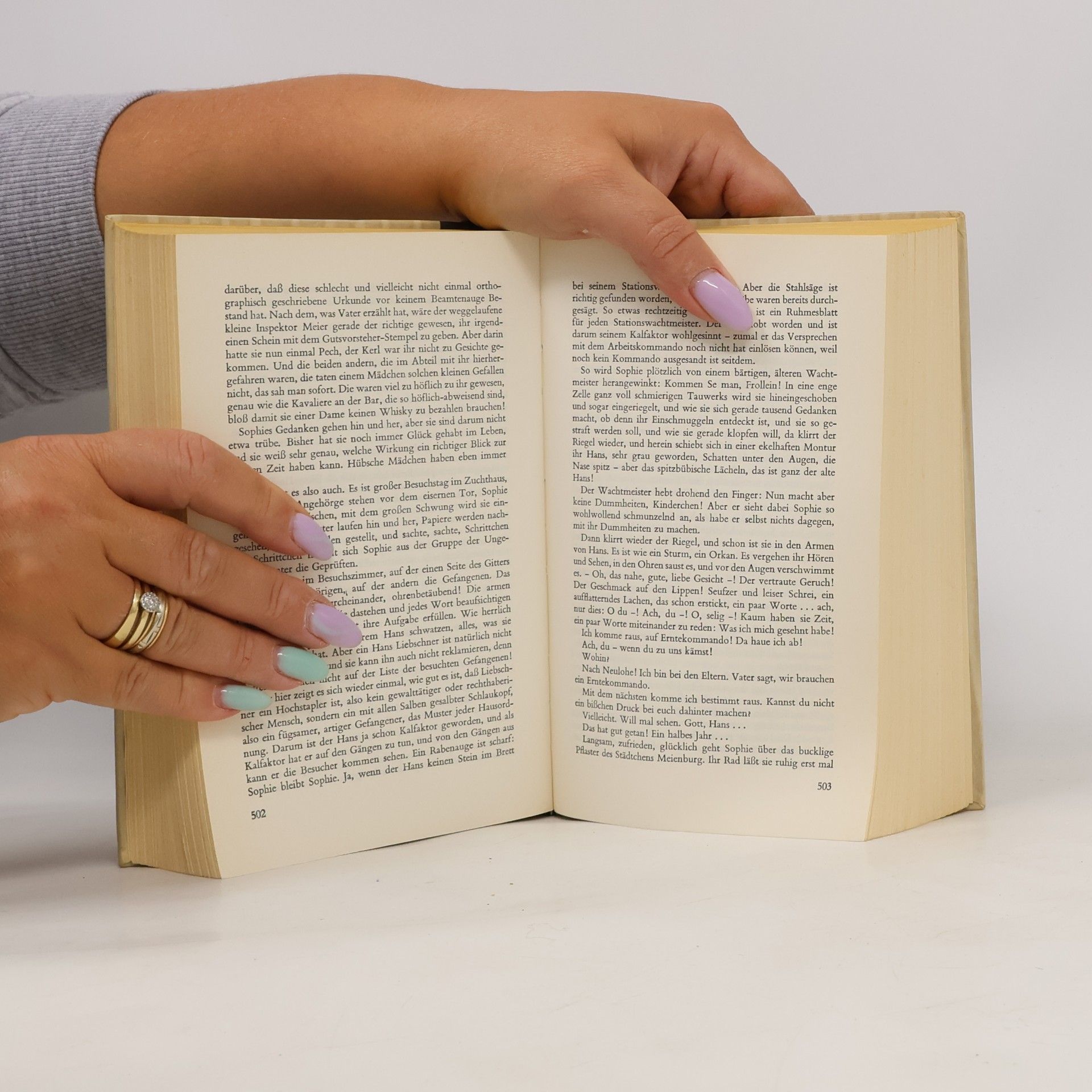 Hans Fallada Wolf unter Wölfen