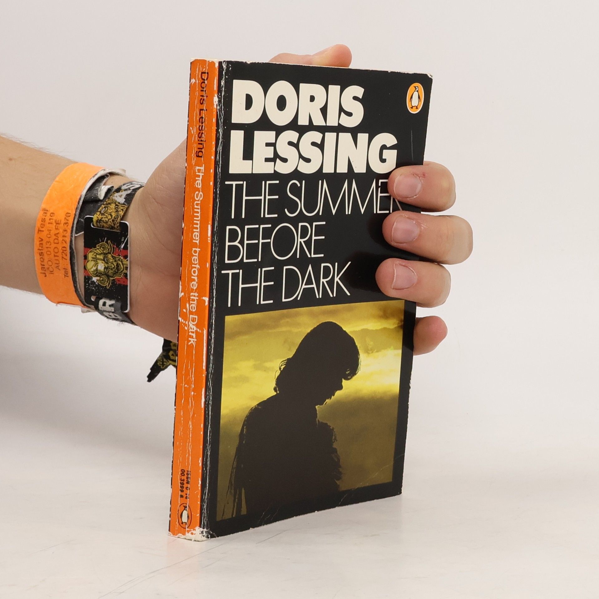 The Summer before the Dark