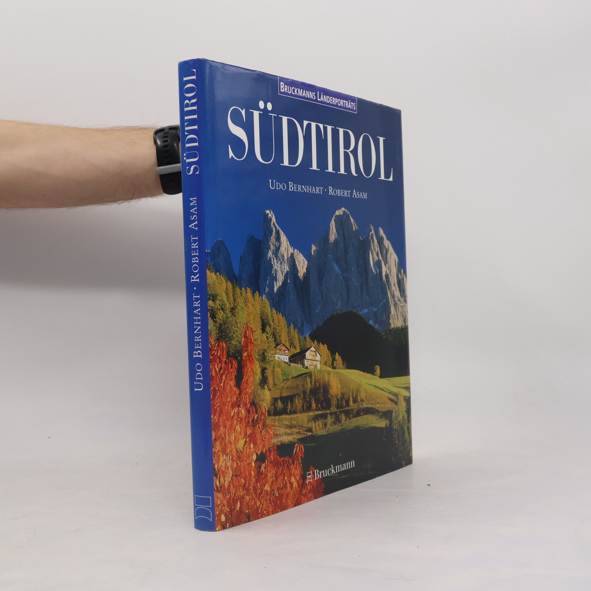Südtirol