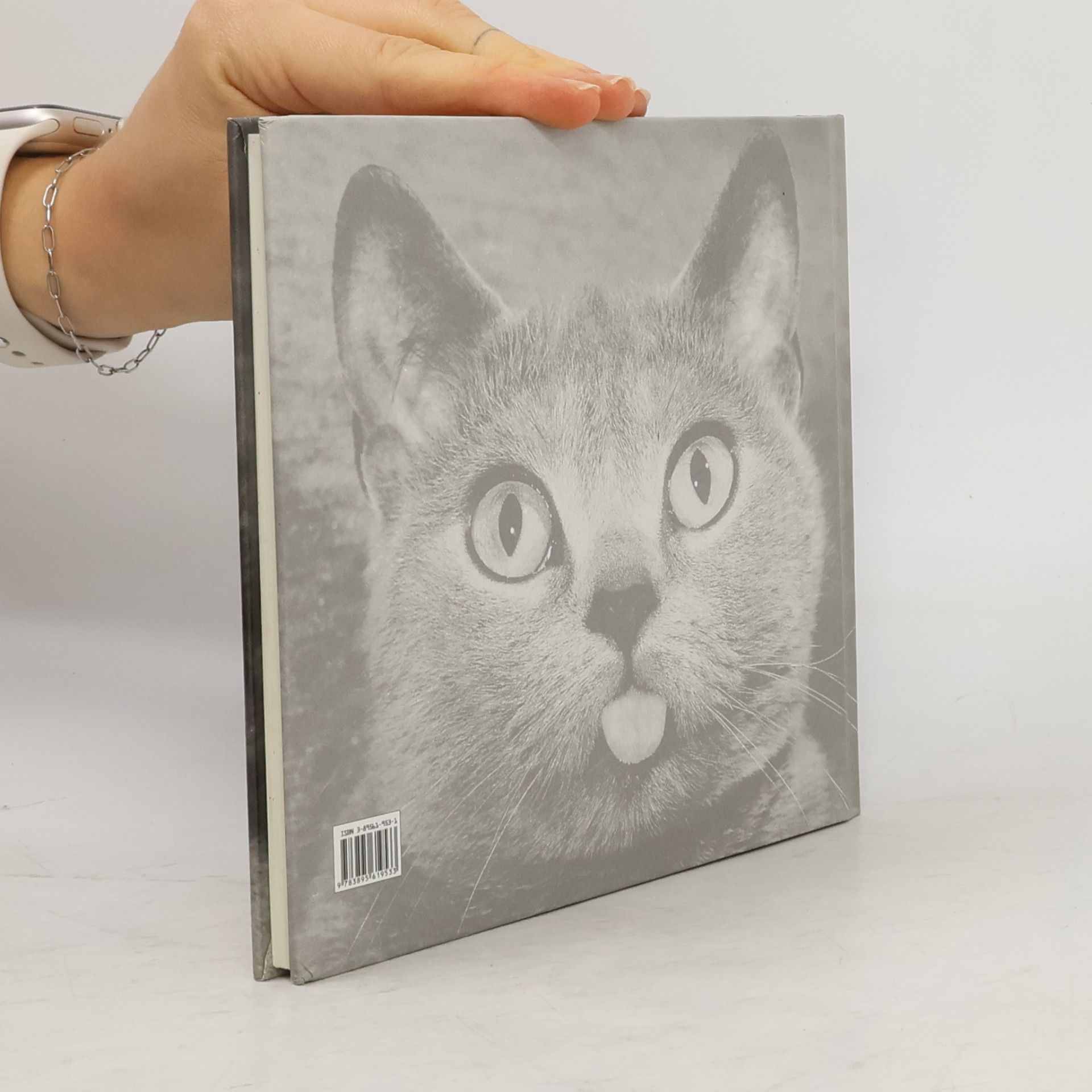 Julia Bachstein Komische Katzen