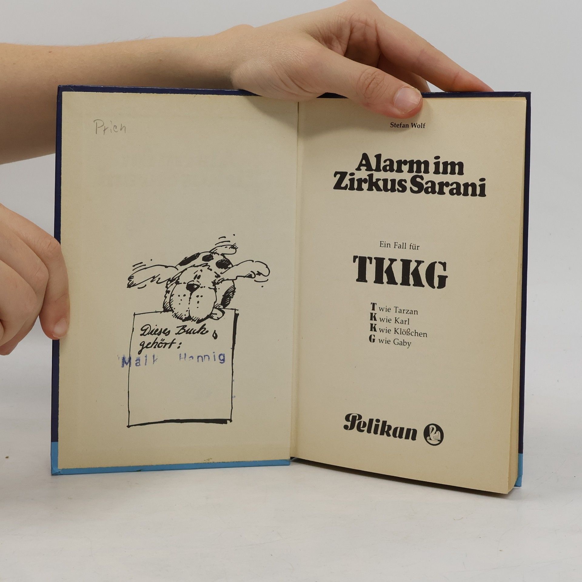 Rolf Kalmuczak Alarm im Zirkus Sarani