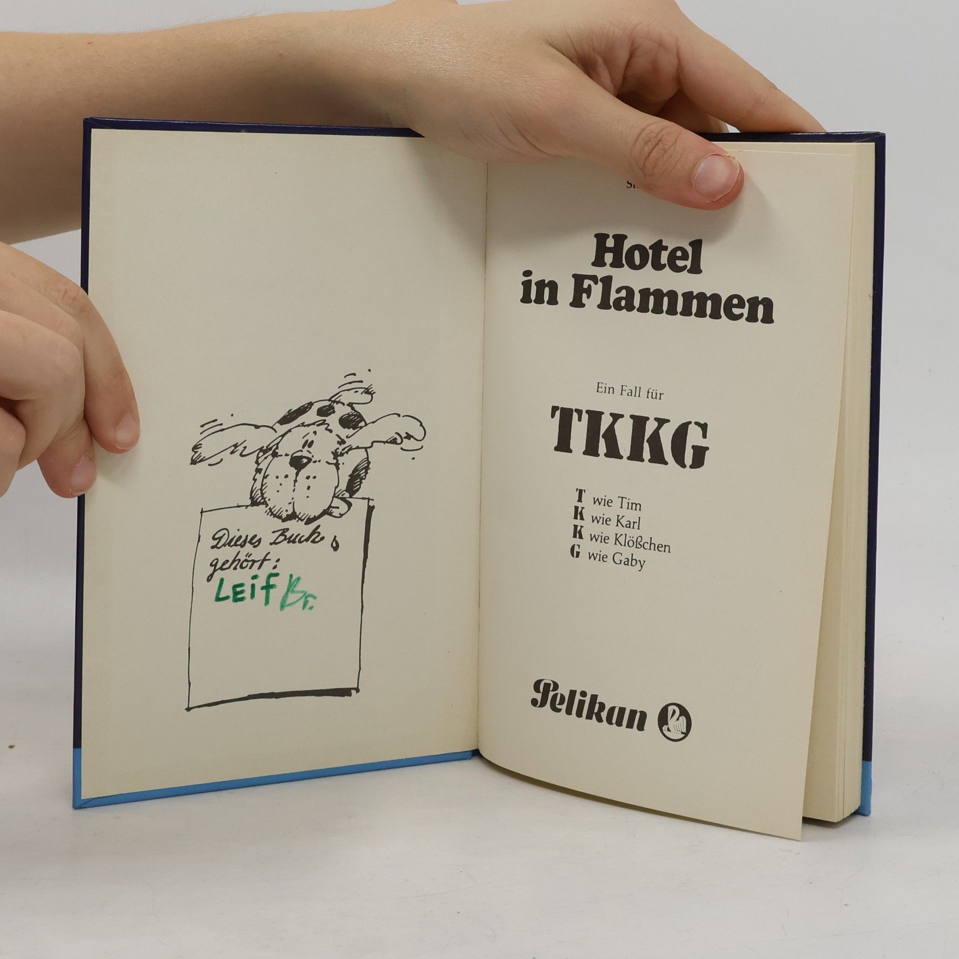 Stefan Wolf Hotel in Flammen