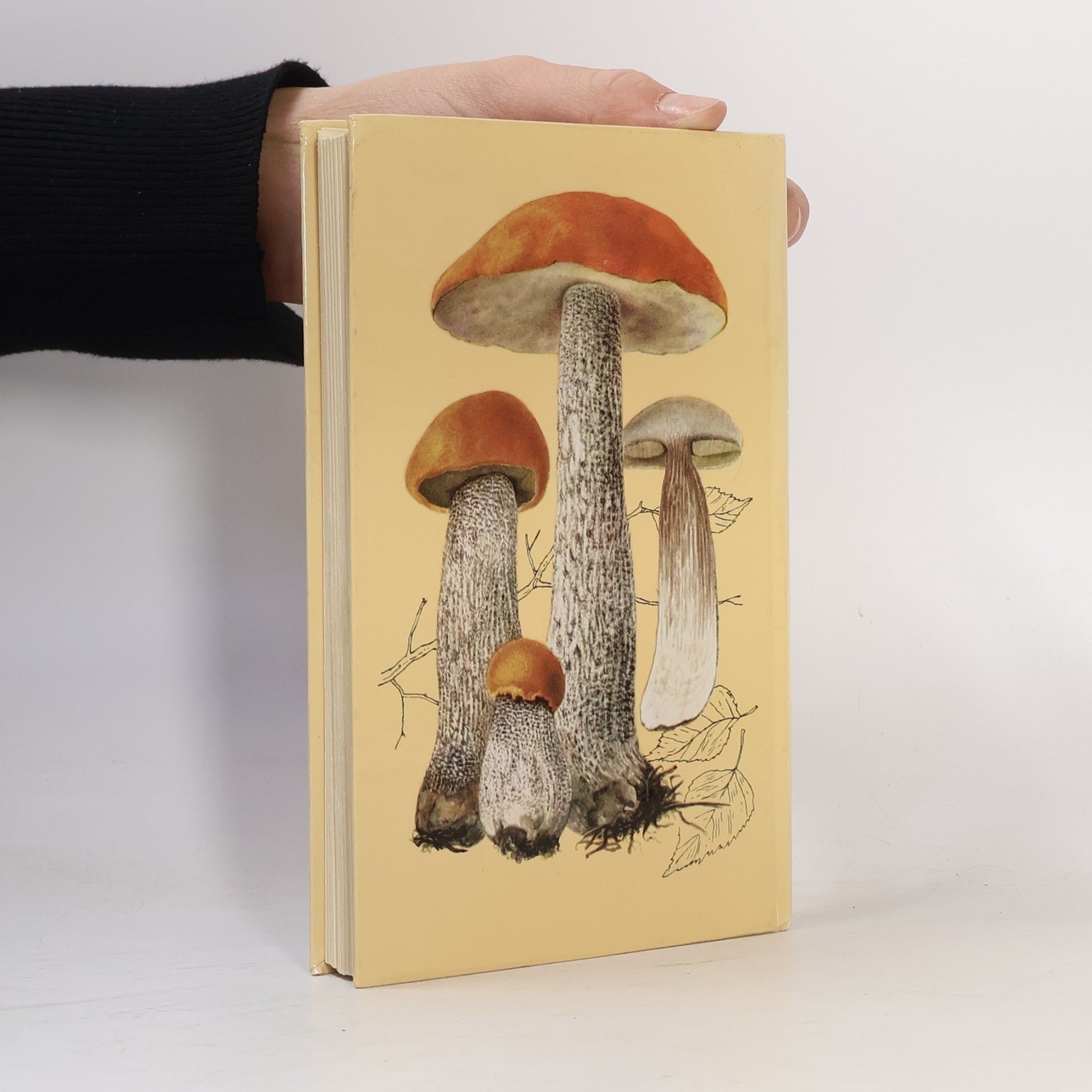 AA.VV. Mushrooms and Fungi