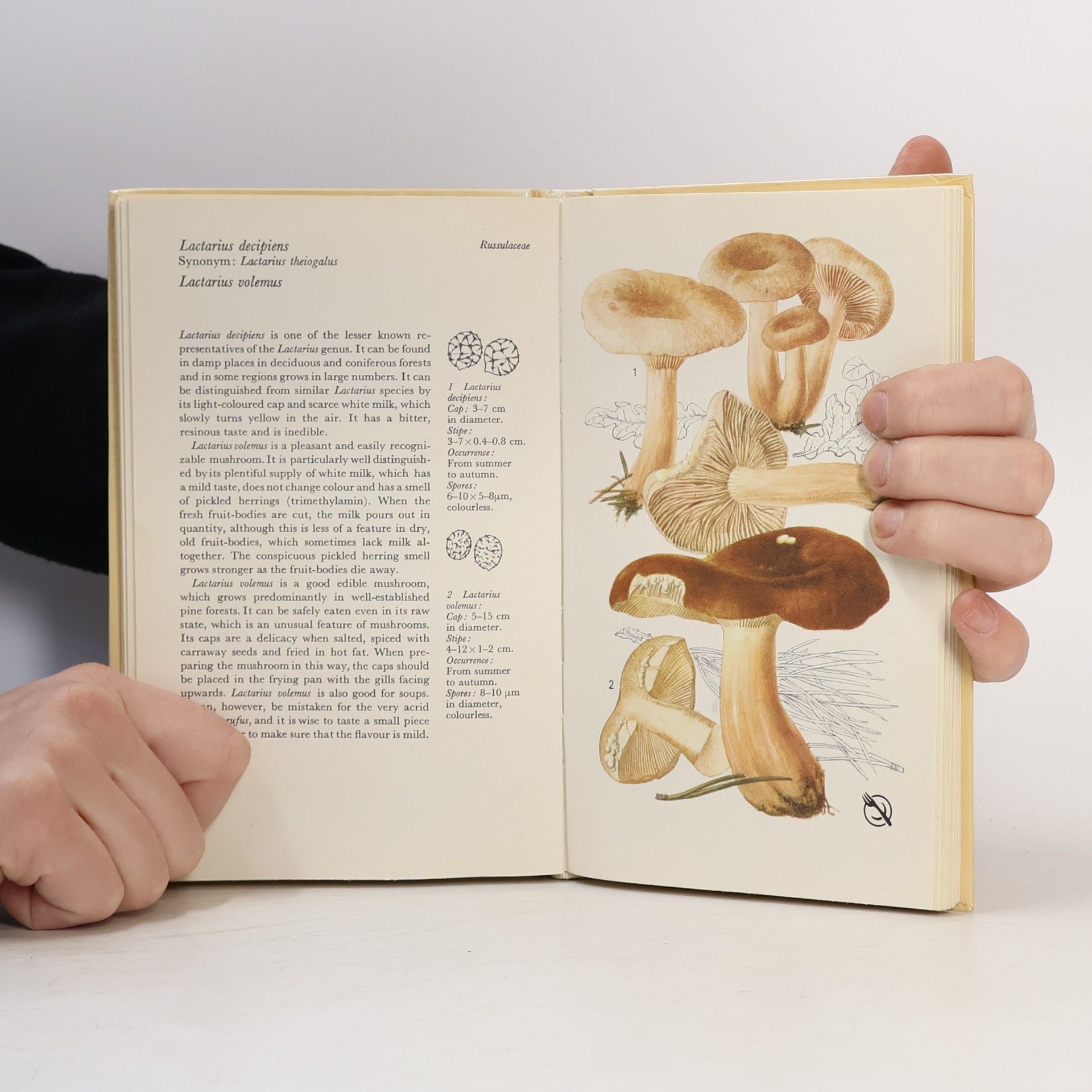AA.VV. Mushrooms and Fungi