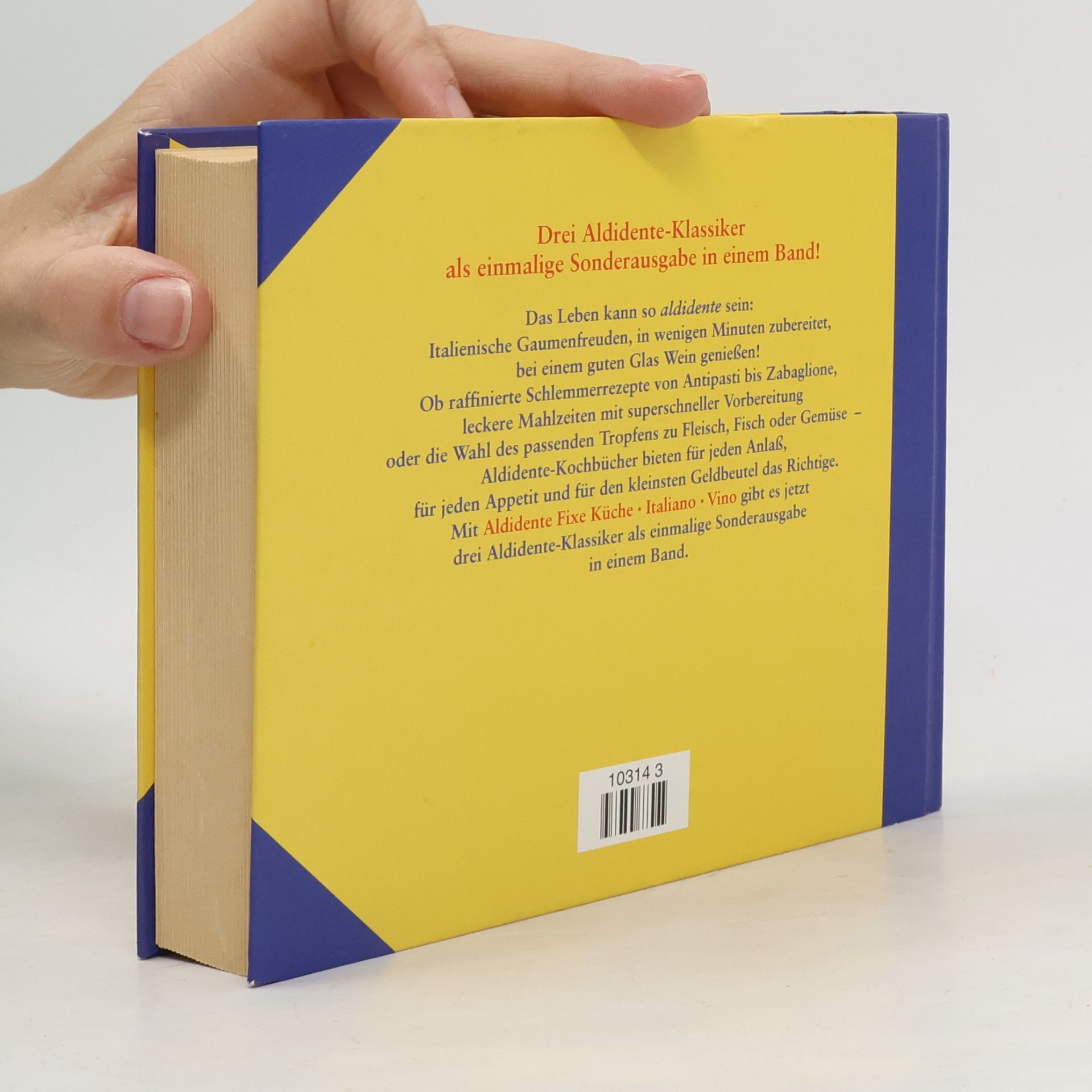 Autorenkollektiv Das große Aldidente Buch