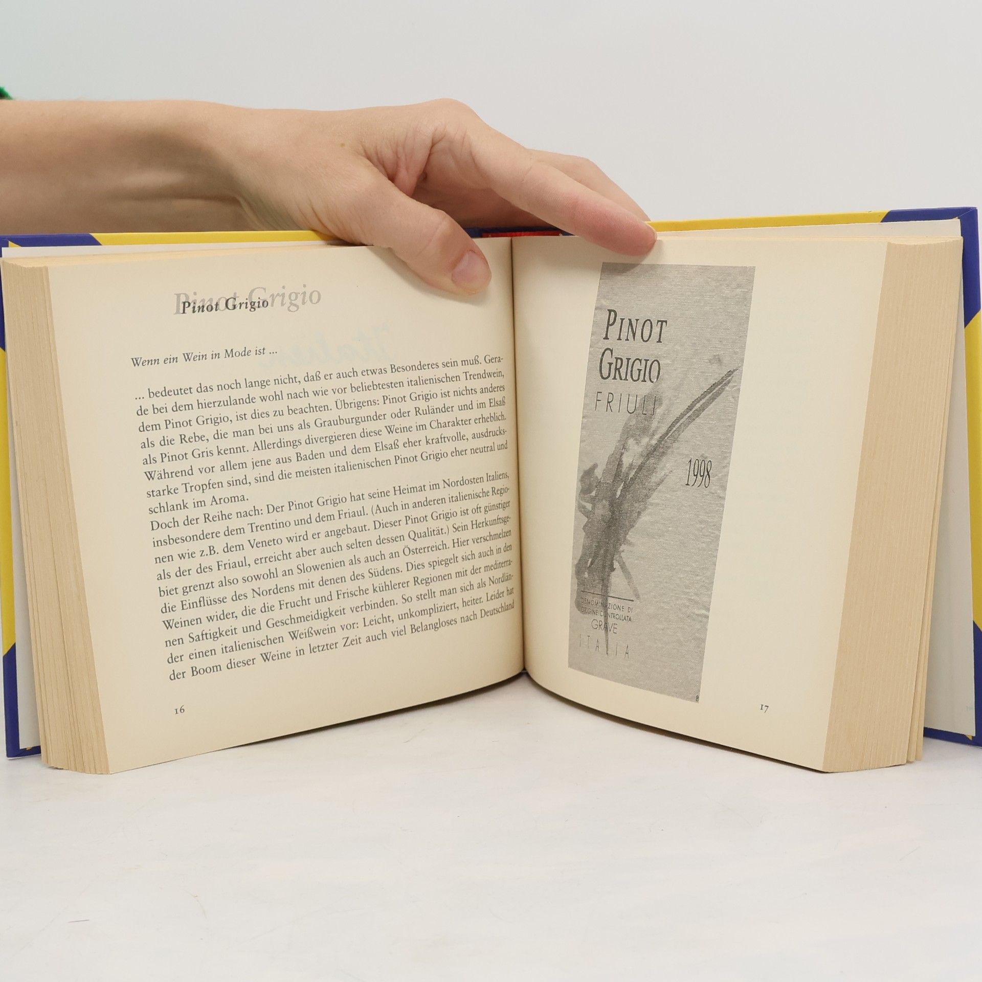 Autorenkollektiv Das große Aldidente Buch
