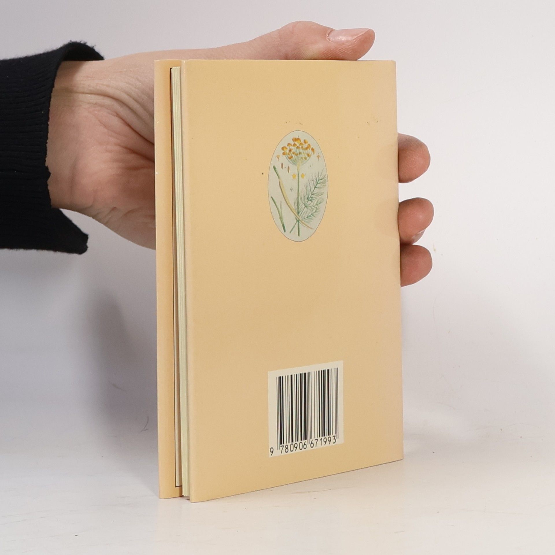 Amy Cockburn A Webb & Bower Miniature: Herbs and Spices