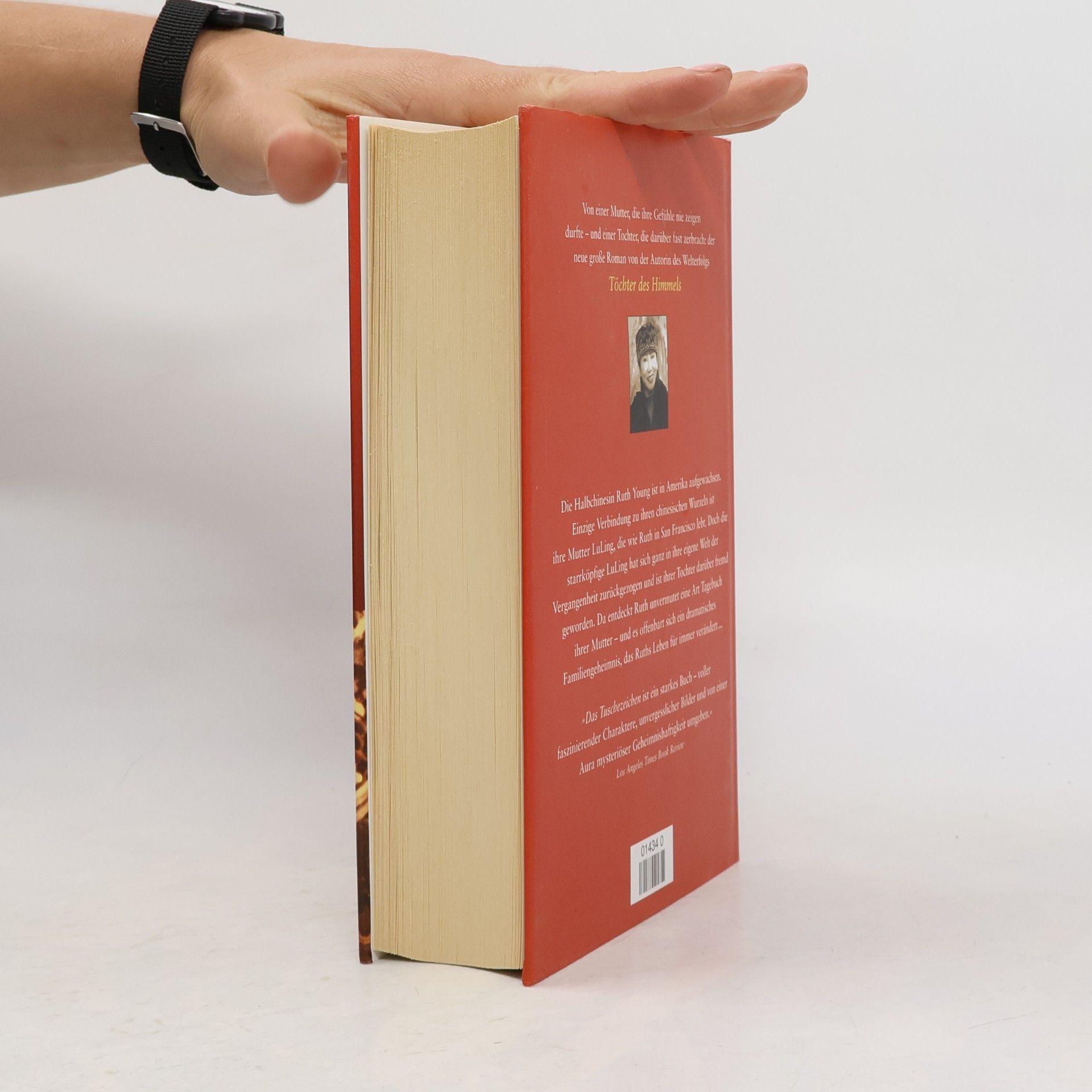 Amy Tan Das Tuschezeichen