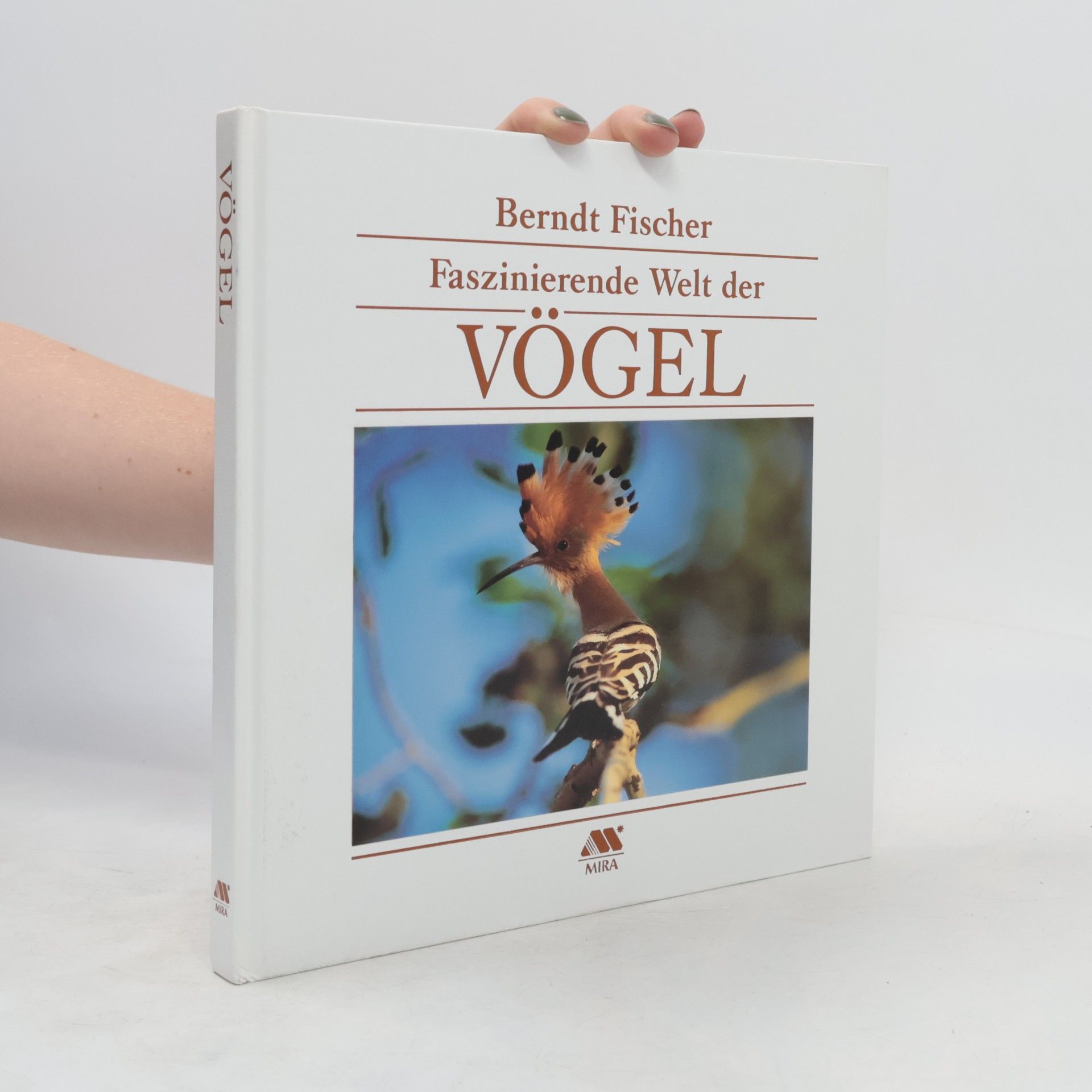 Berndt Fischer Faszinierende Welt der Vögel