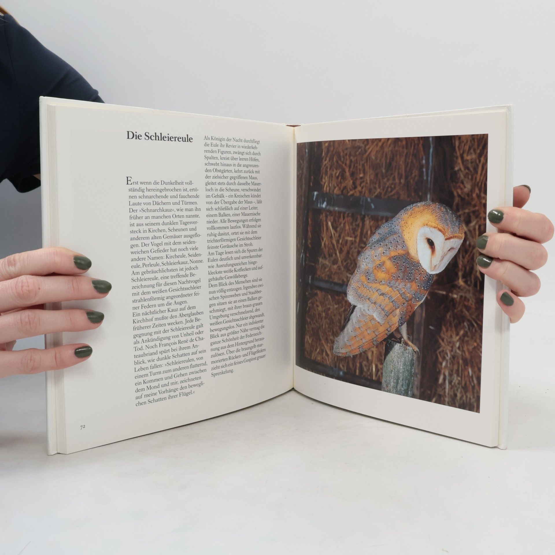 Berndt Fischer Faszinierende Welt der Vögel