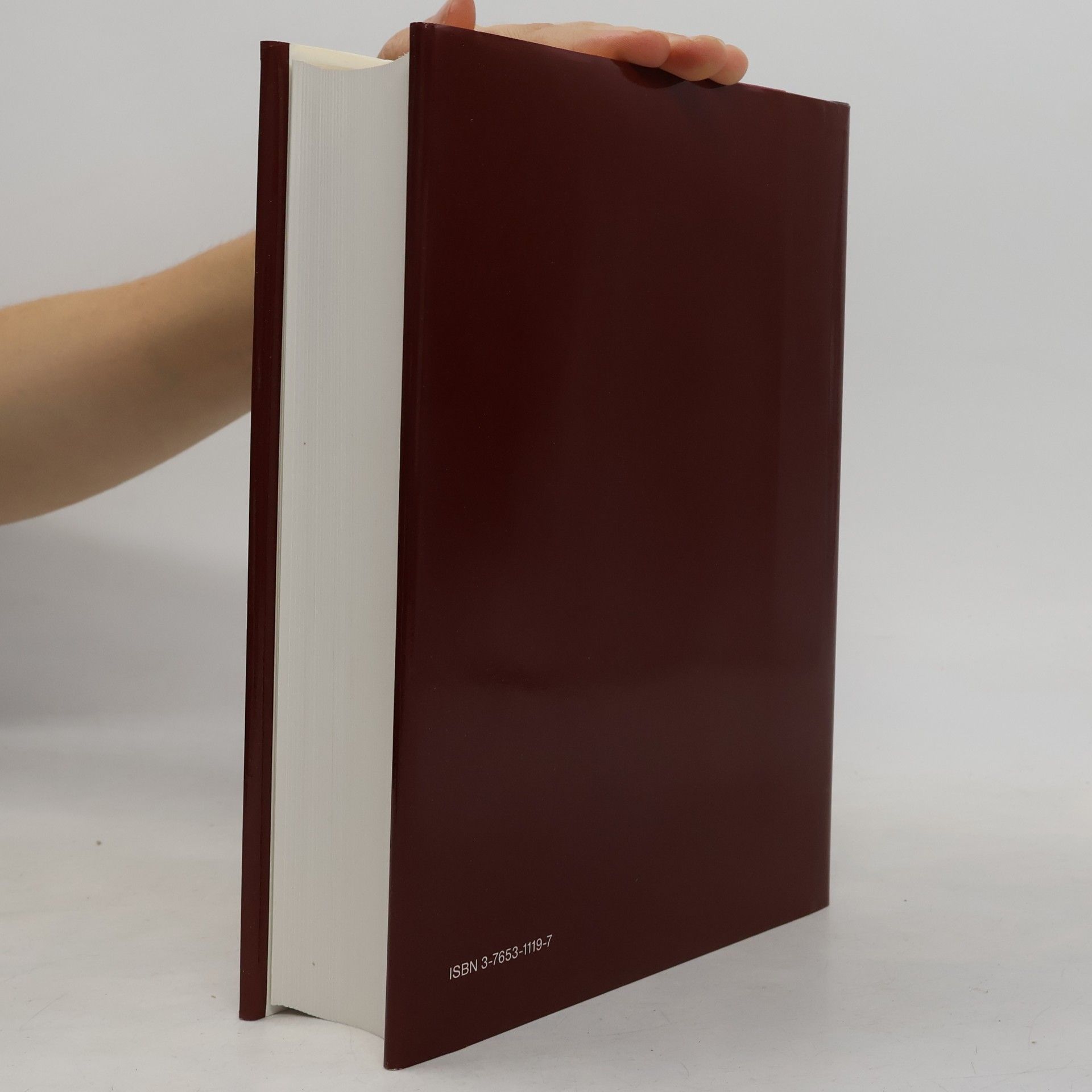 Peter Plasberg Brockhaus 19 Rut-Sch