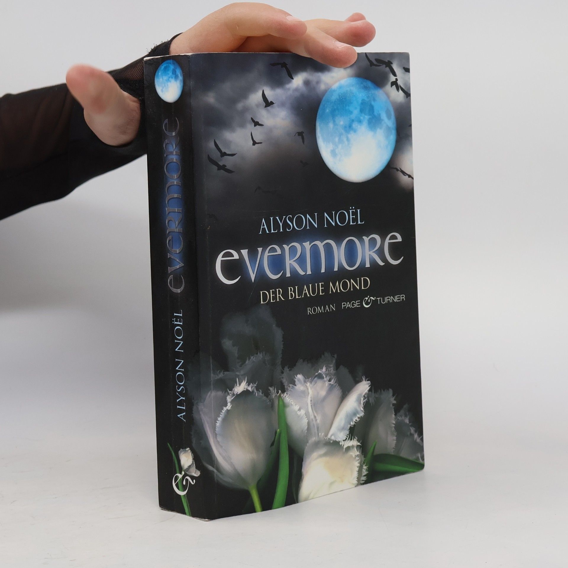Alyson Noël Evermore: Der blaue Mond