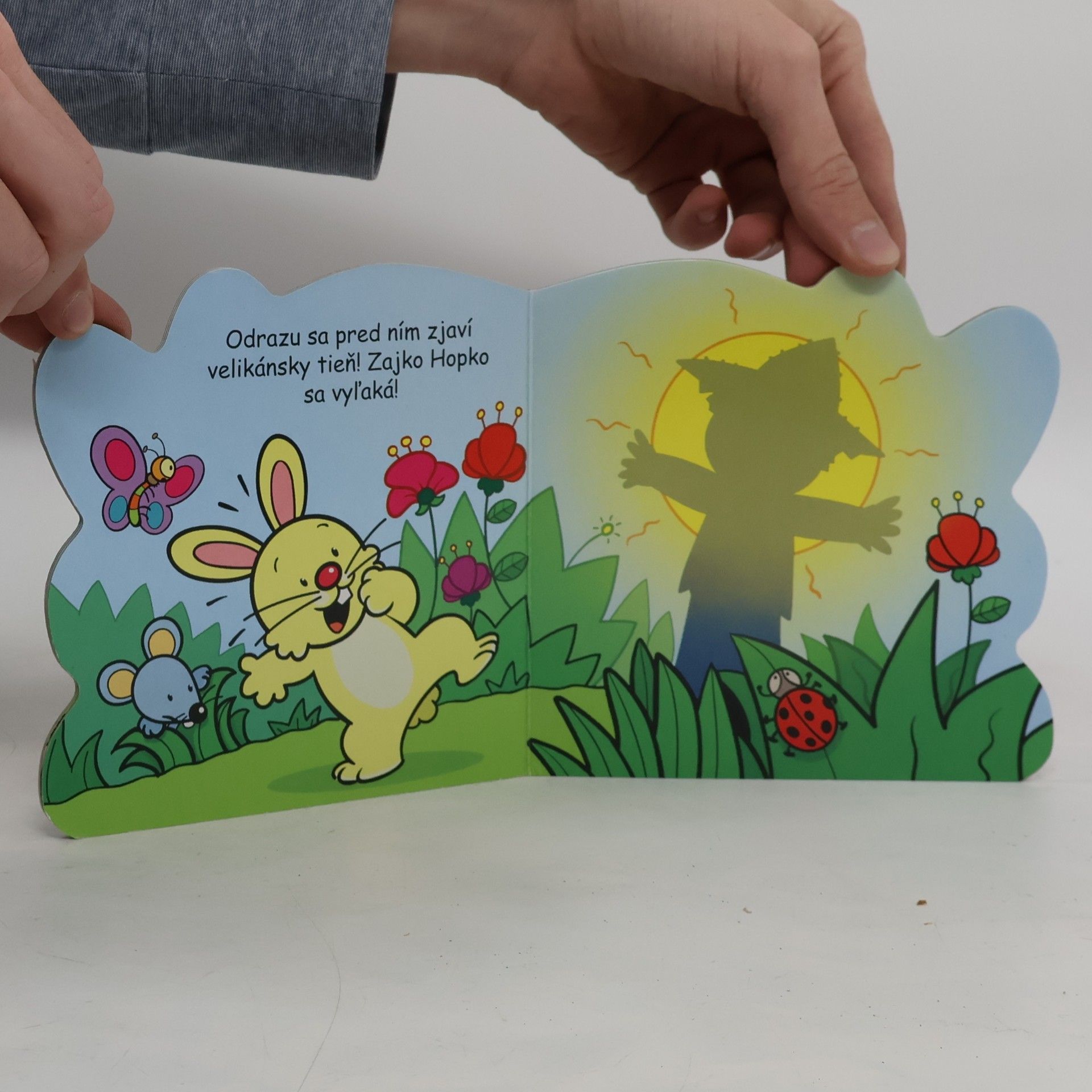 Kolektiv autorů Zajko Hopko