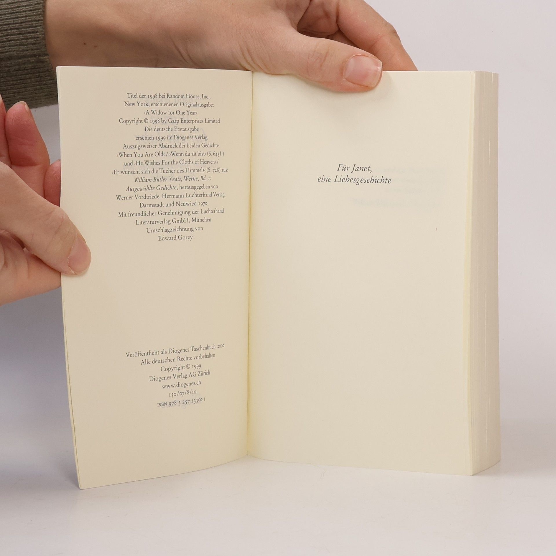 John Irving Witwe für ein Jahr