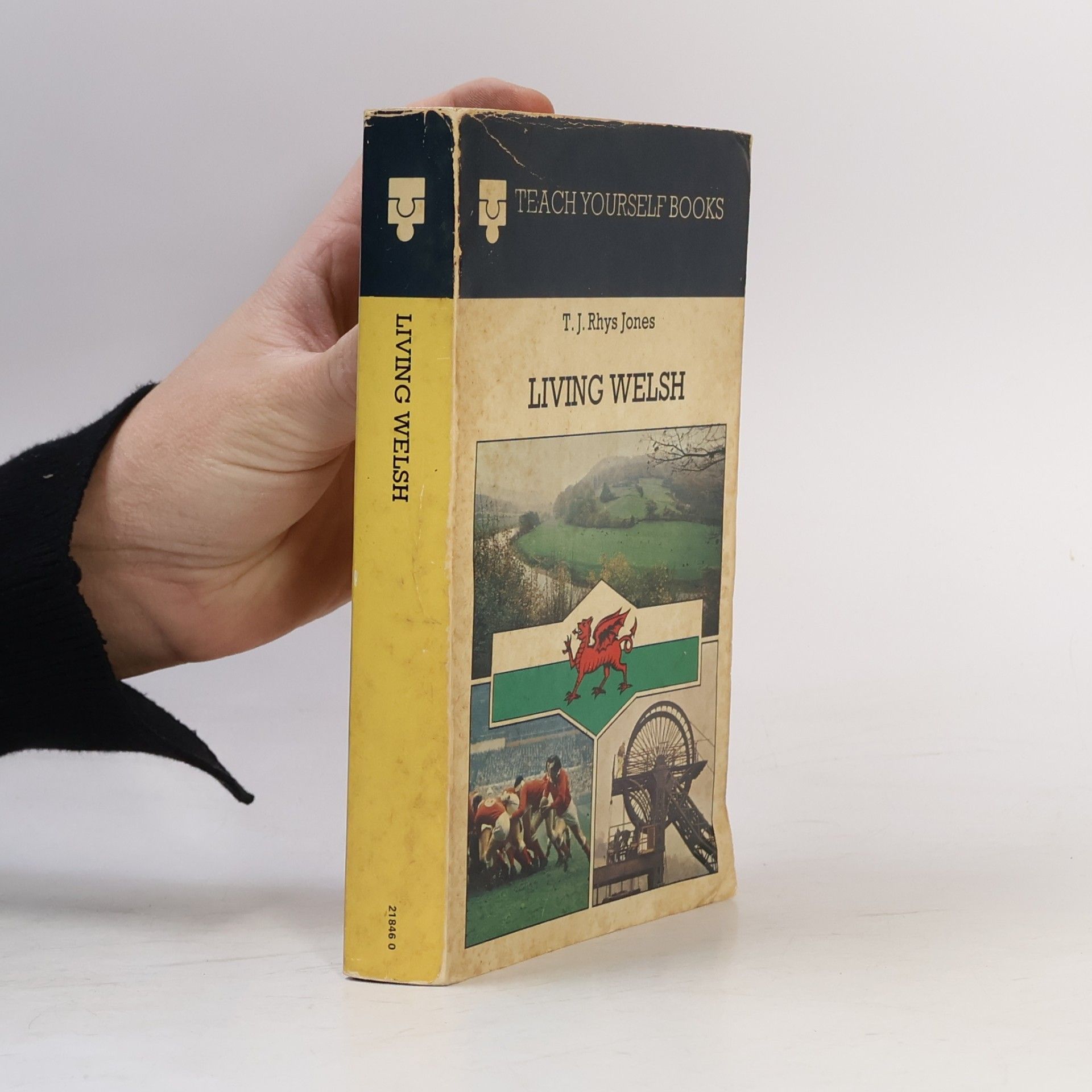 T.J.Rhys Jones Living Welsh
