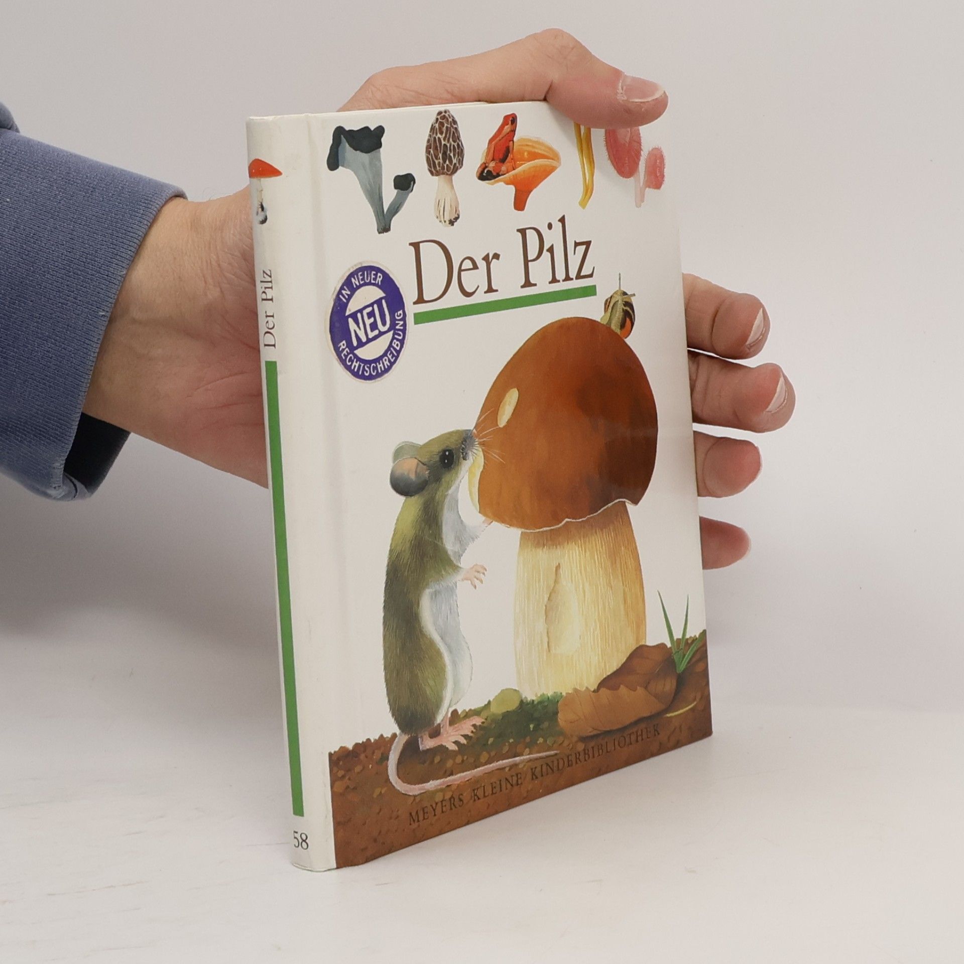 Héliadore Der Pilz