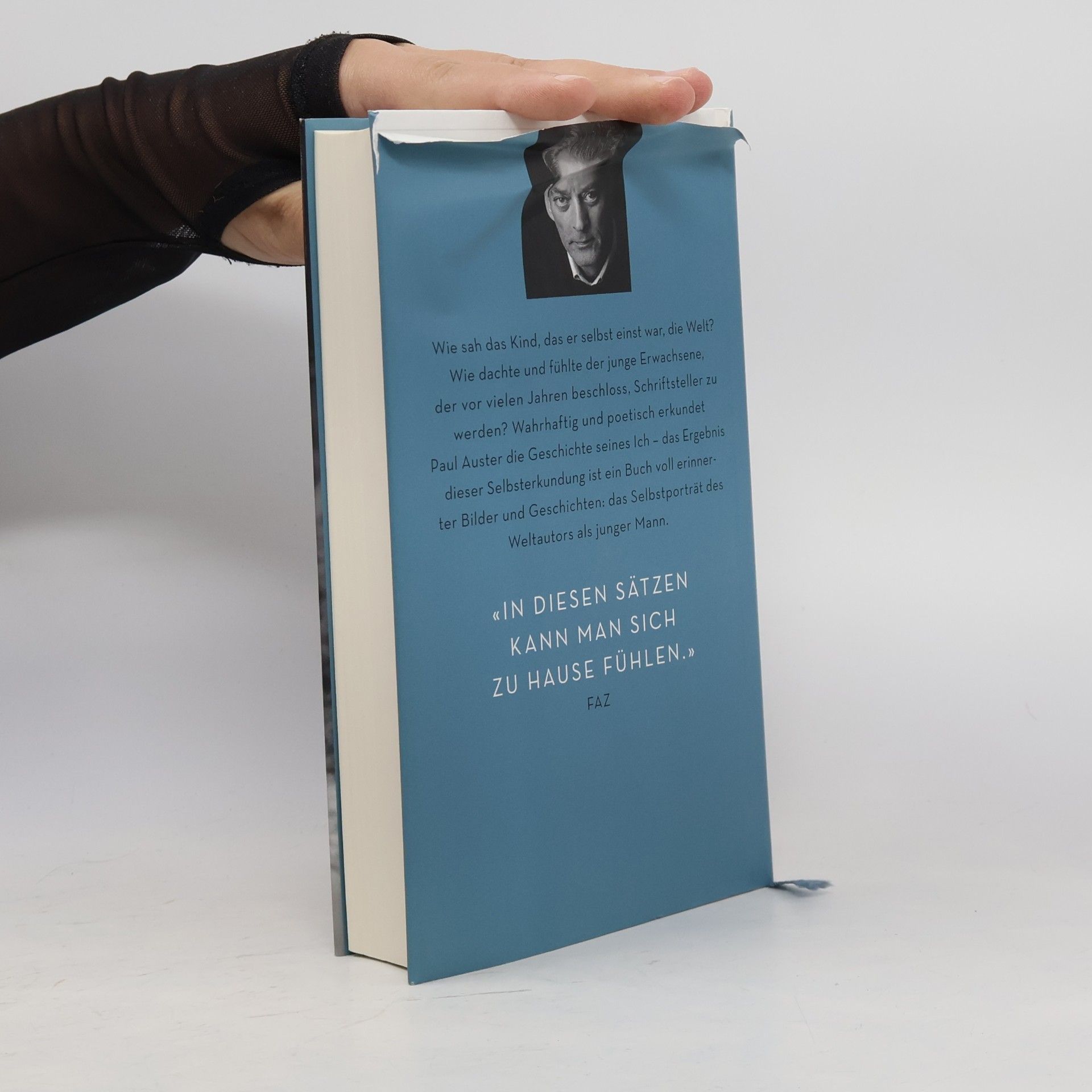 Paul Auster Bericht aus dem Inneren
