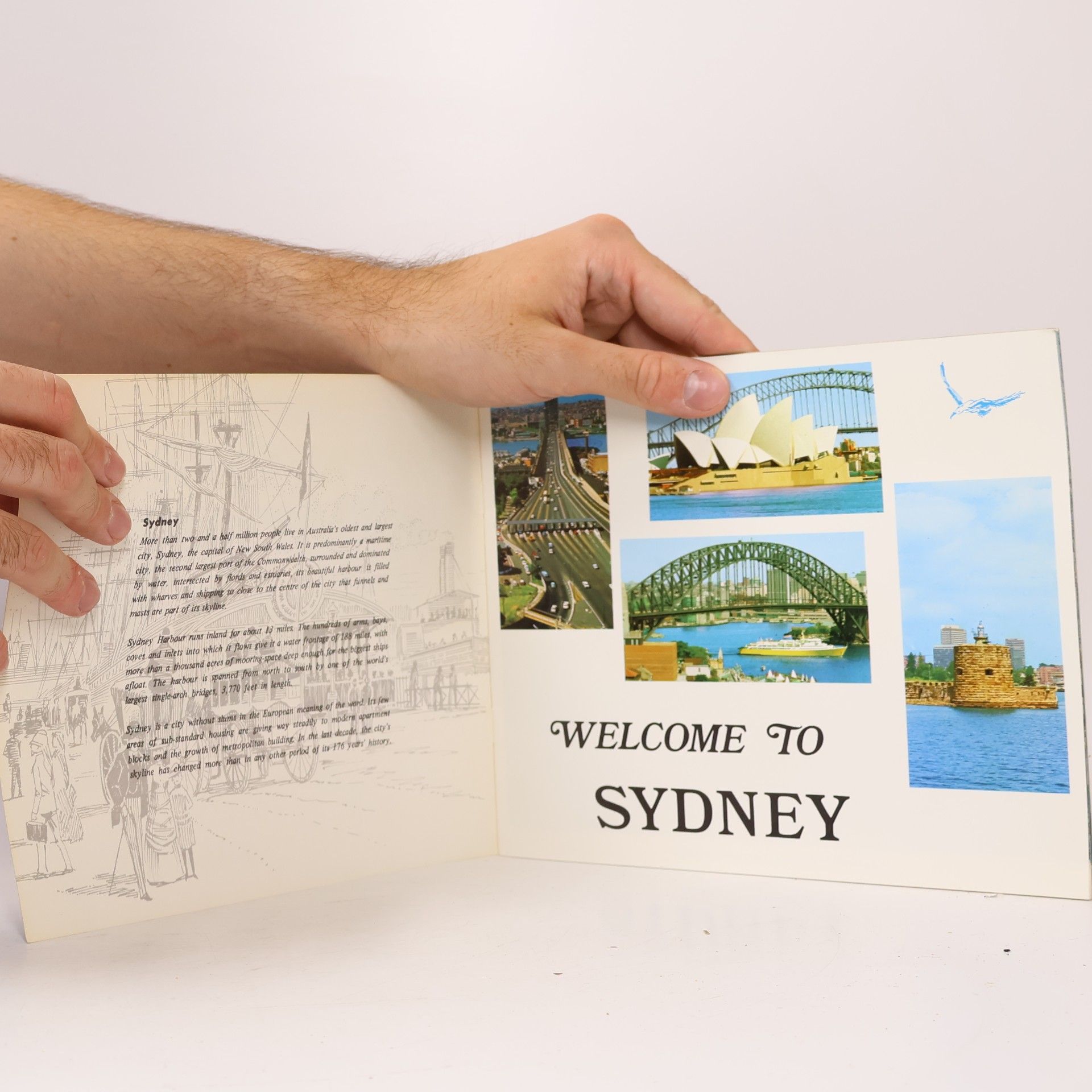 Various authors Souvenir Book of Sydney, New South Wales