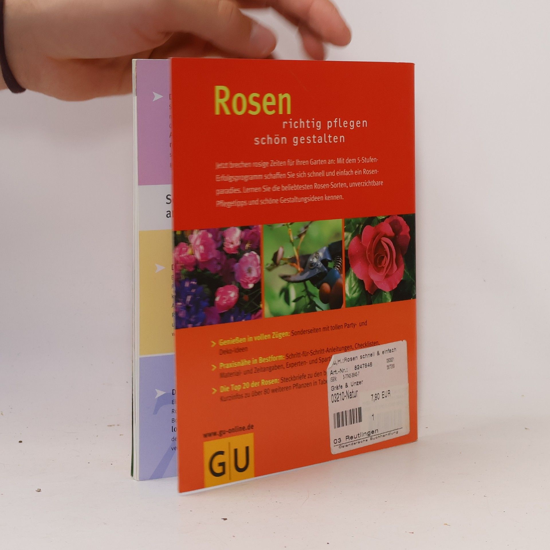 Heide Rau Rosen