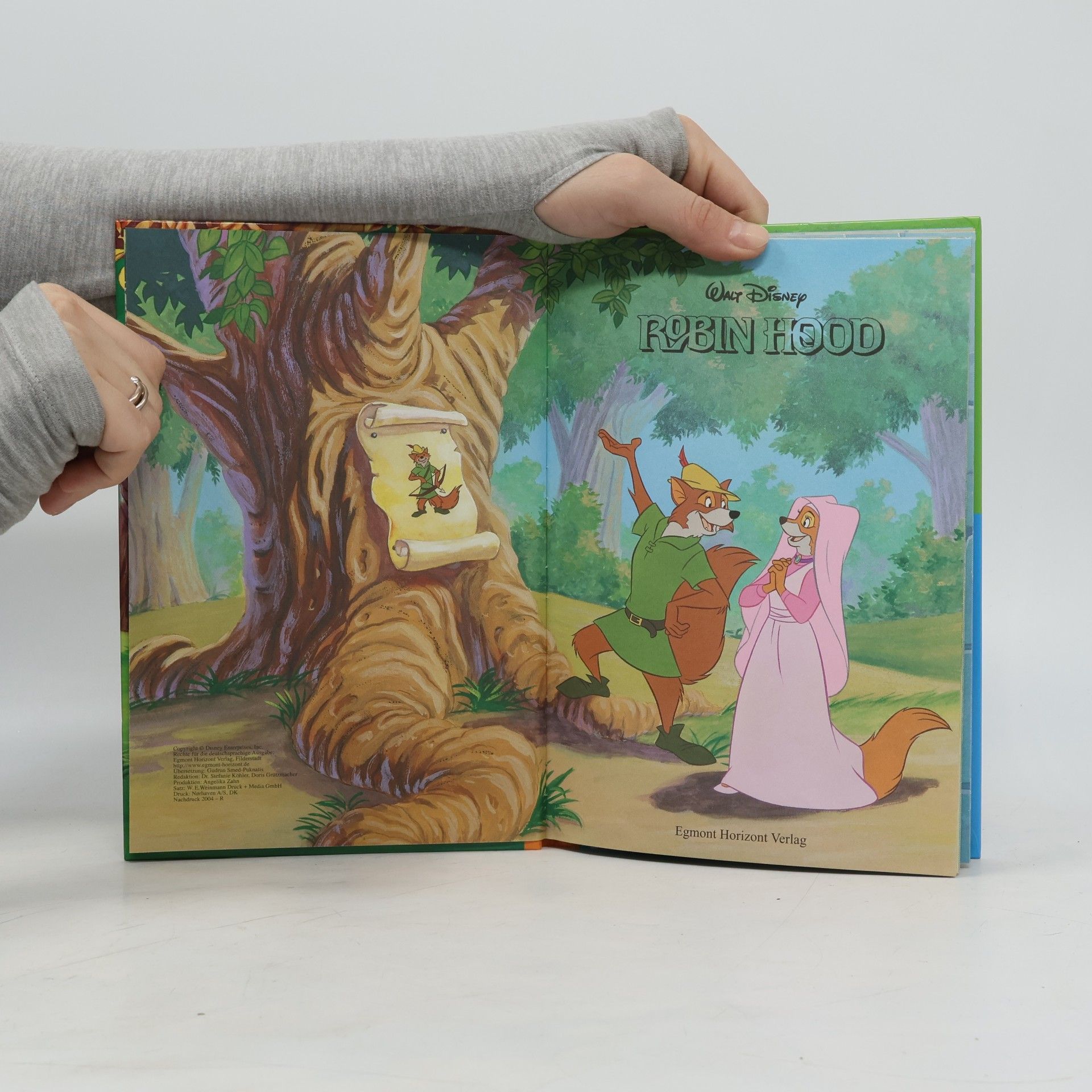 Autorenkollektiv Robin Hood