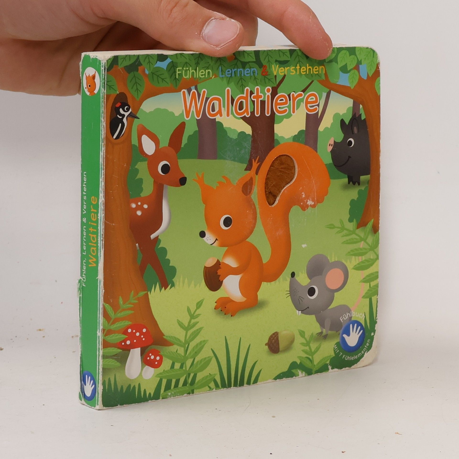 Autorenkollektiv Waldtiere