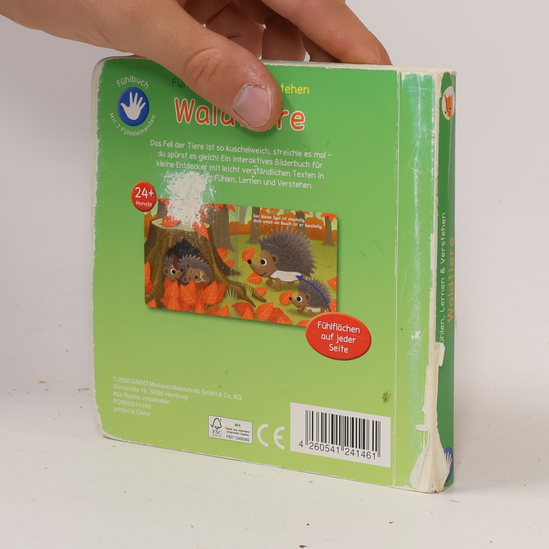 Autorenkollektiv Waldtiere