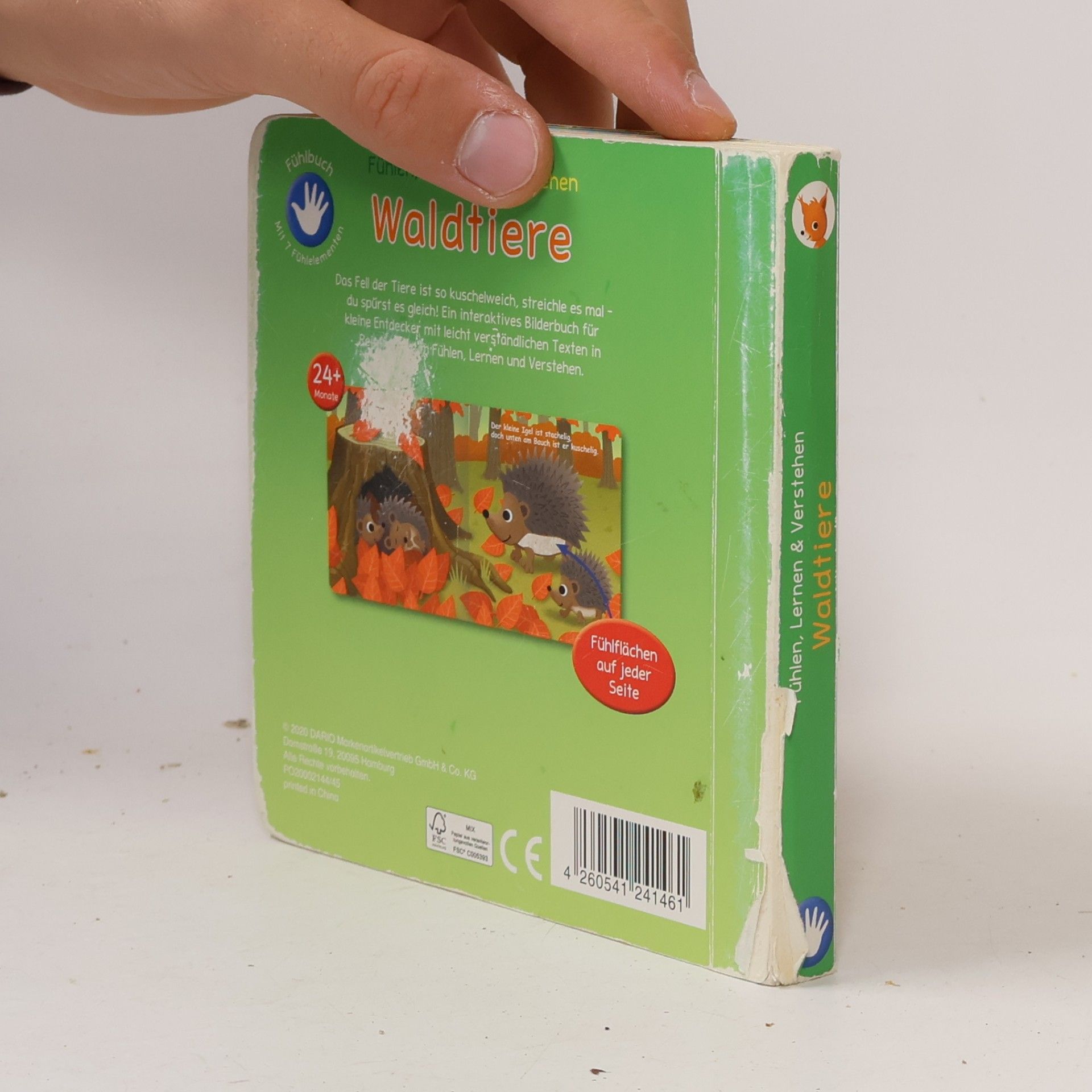 Autorenkollektiv Waldtiere