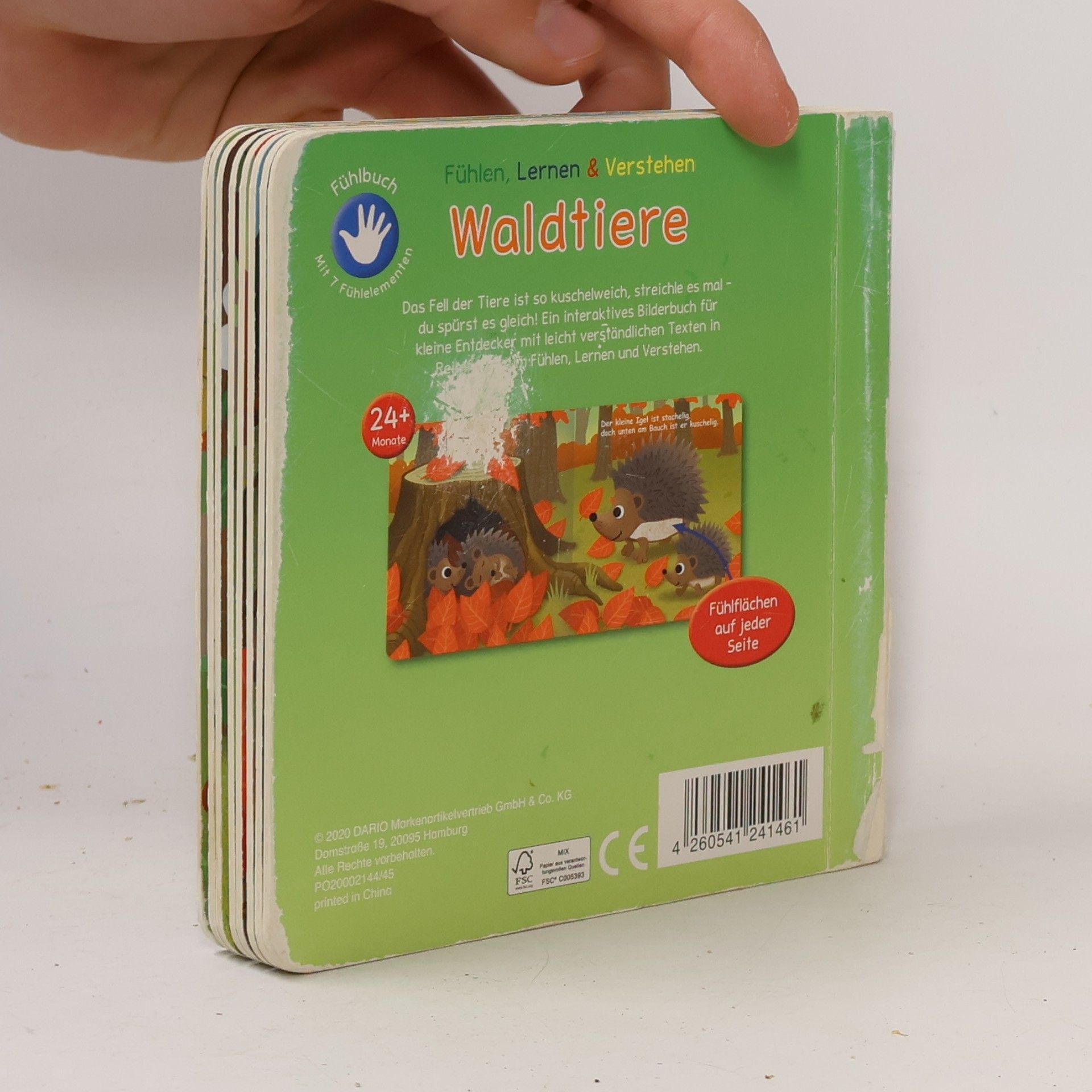 Autorenkollektiv Waldtiere