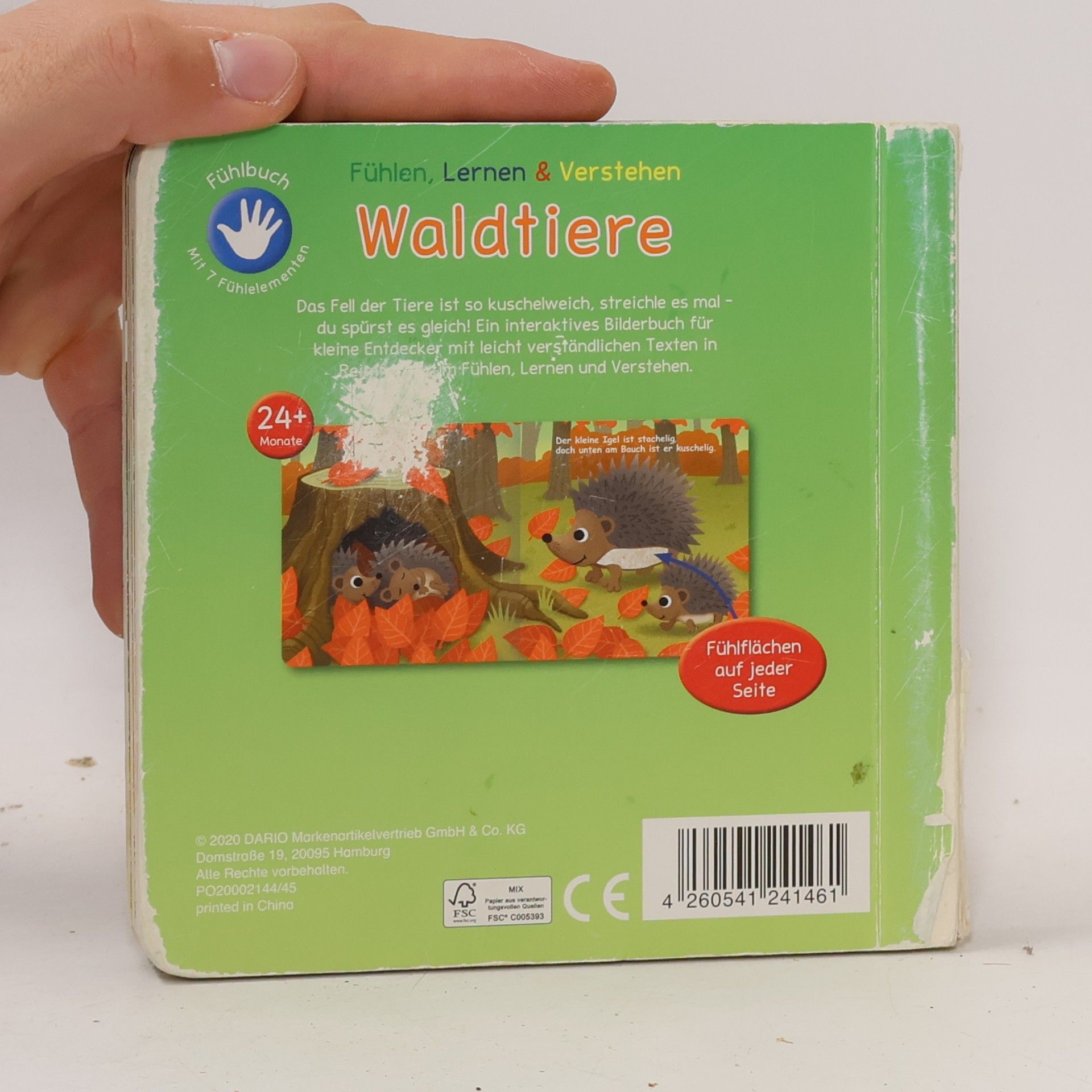 Autorenkollektiv Waldtiere