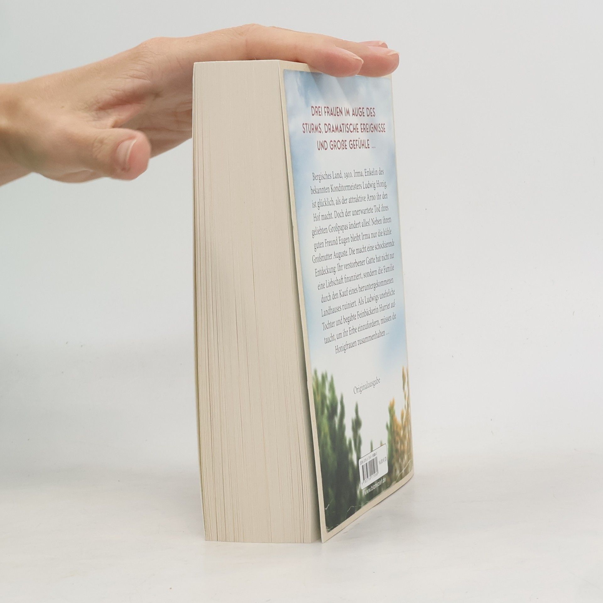 Mirjam Müntefering Die Honigfrauen - Ein Sturm zieht auf: Roman - Die mitreißende Familiensaga über das Schicksal dreier Frauen! (Die Honigfrauen-Saga, Band 1)