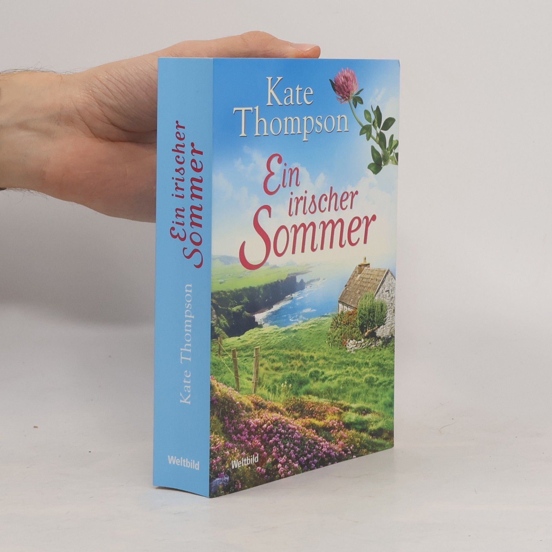Ein irischer Sommer