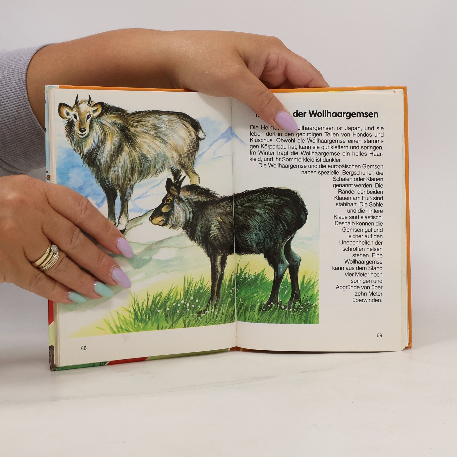 Autorenkollektiv Rolf Kaukas Bussi-Bär-Kinderbibliothek