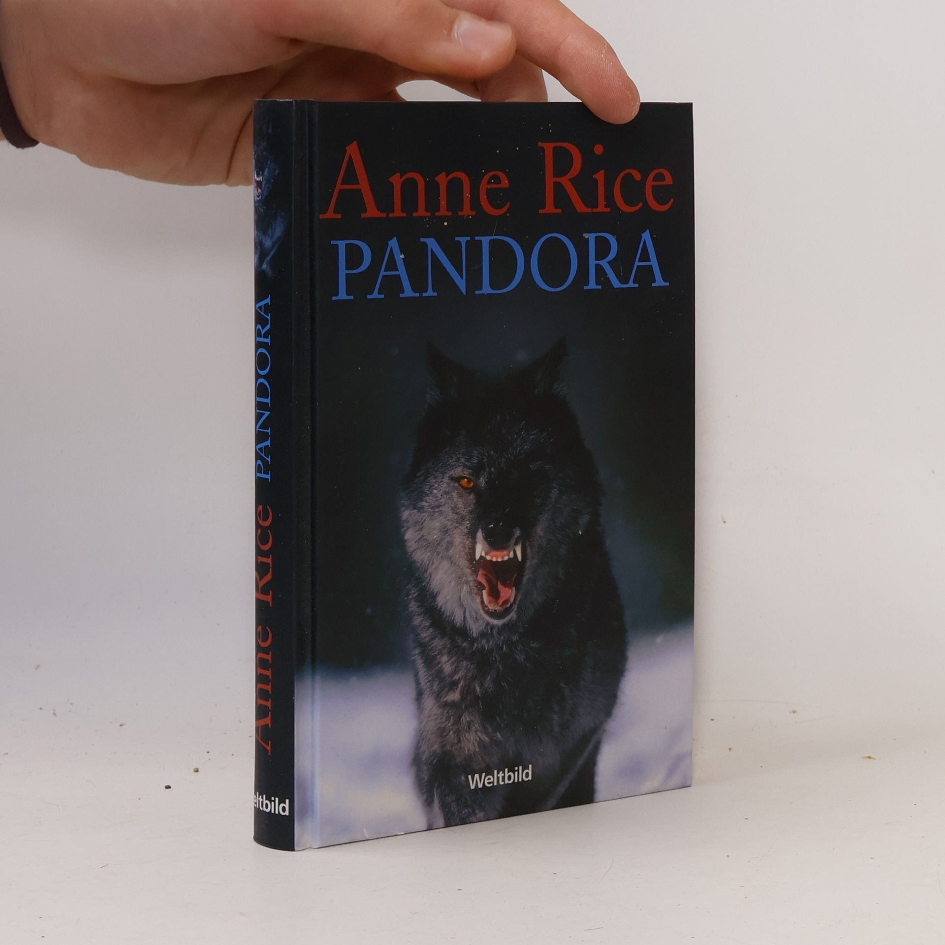 Anne Riceová Memnoch der Teufel