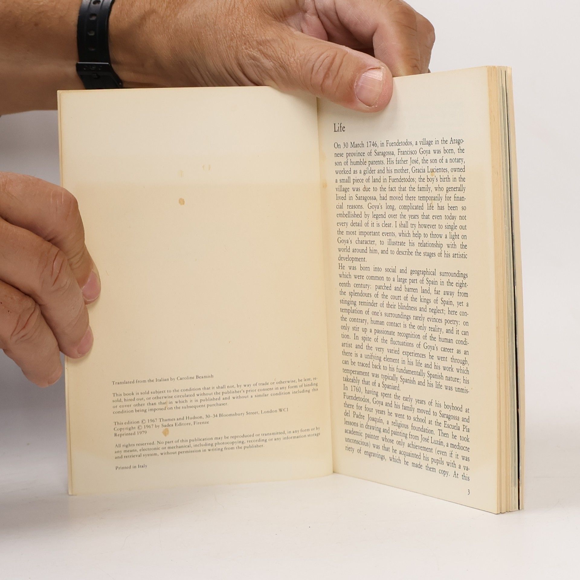 Margherita Abbruzzese Goya. The Life and Work of the Artist Illustrated with 80 Colour Plates