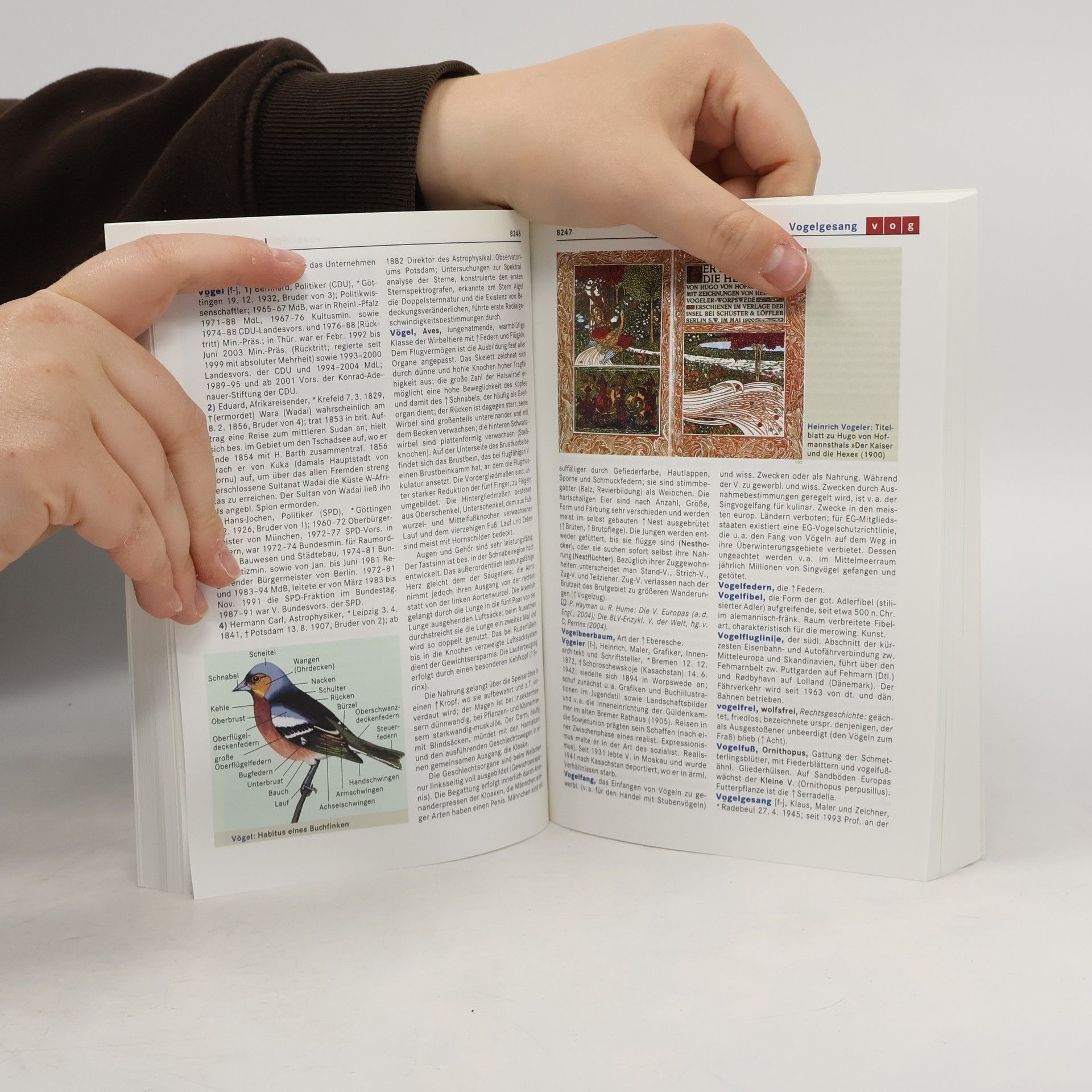 Bibliographisches Institut. Lexikonredaktion Verdu - Weltq - 23: Meyers großes Taschenlexikon
