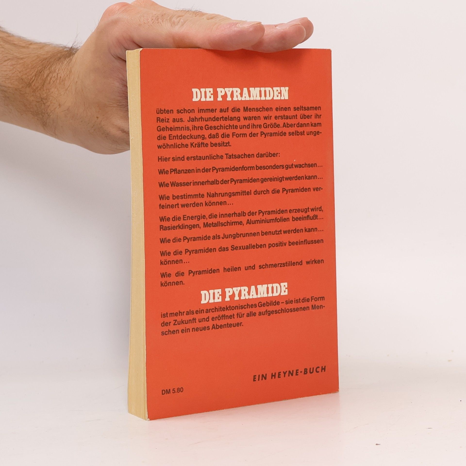 Bill Schul Die geheimnisvollen Kräfte der Pyramide