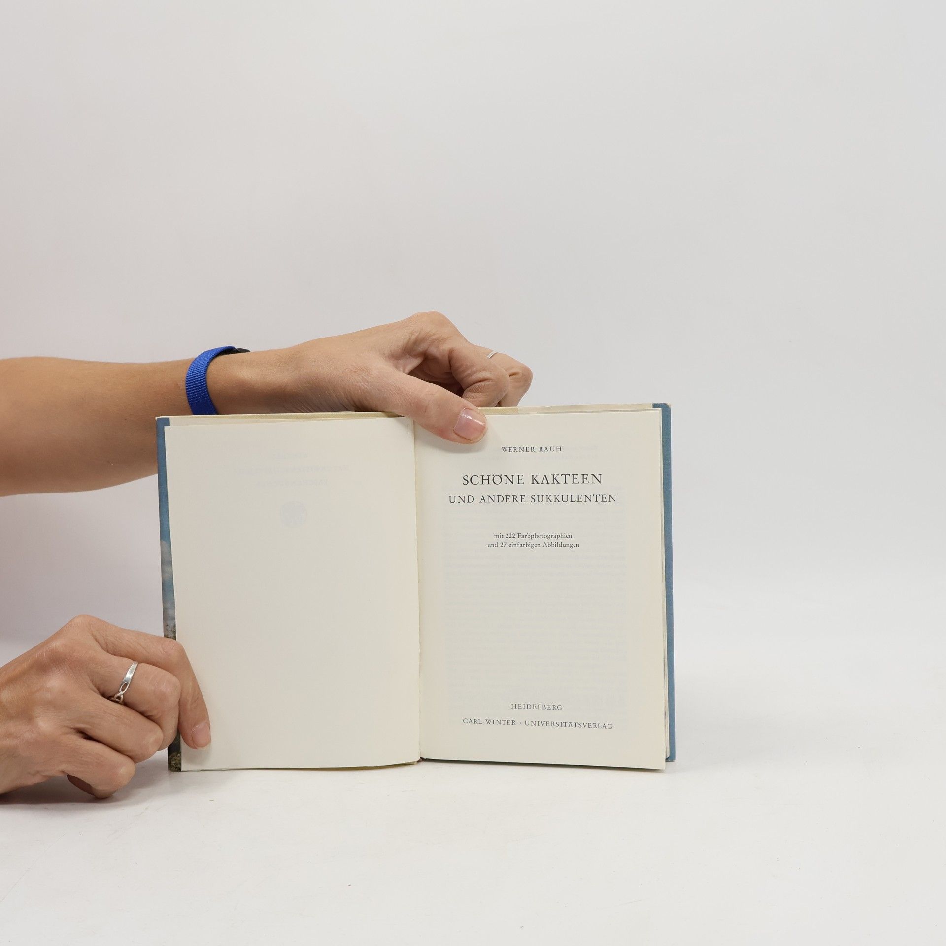 Autorenkollektiv Schöne Kakteen und andere Sukkulenten