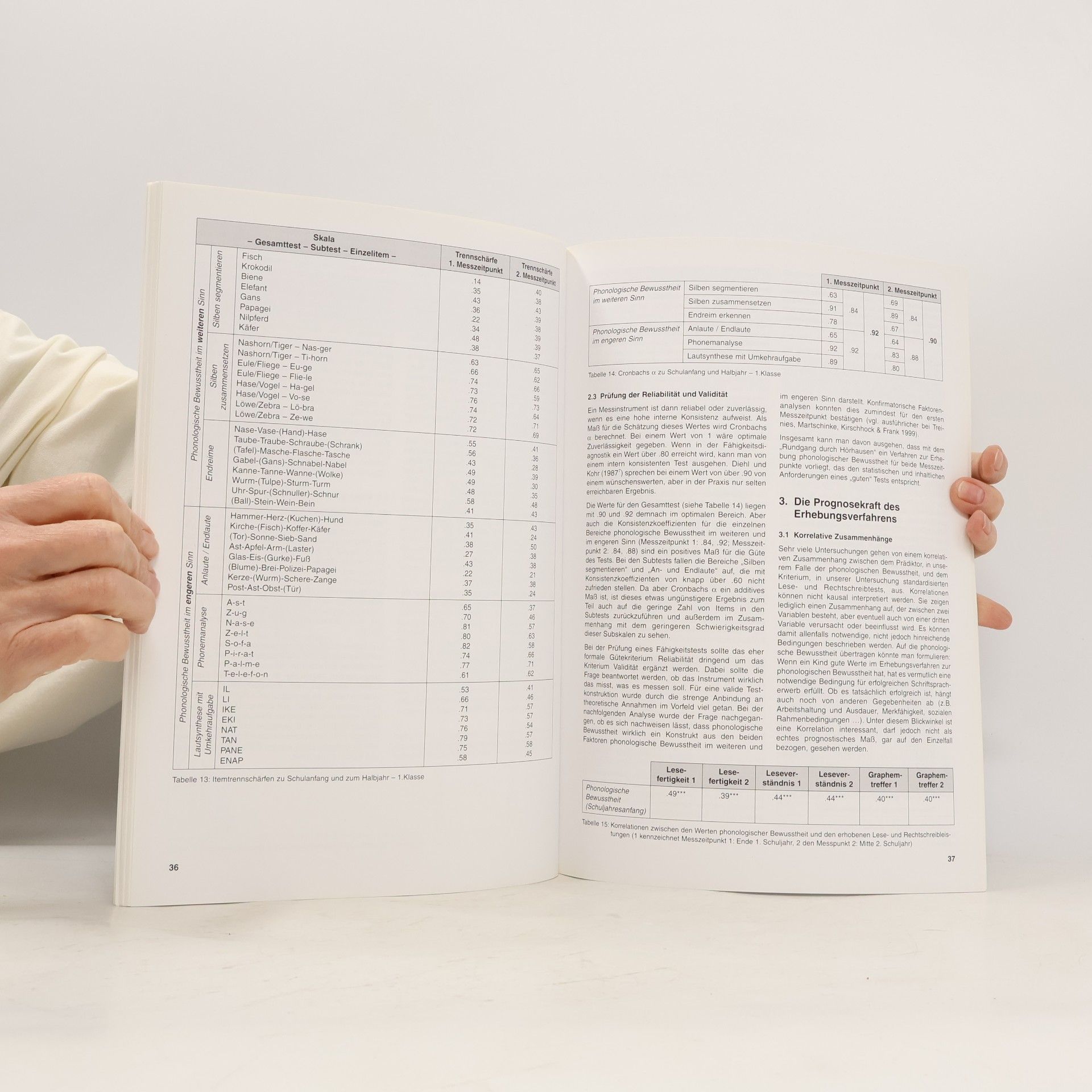 Sabine Martschinke Diagnose und Förderung im Schriftspracherwerb