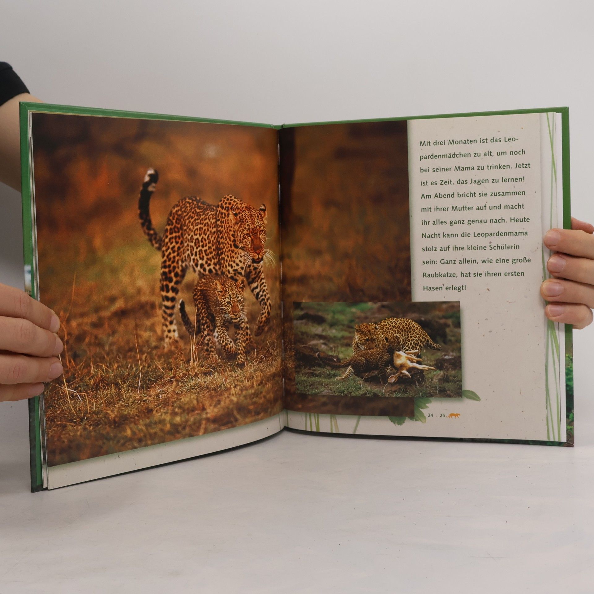 Mymi Doinet Auf den Spuren des kleinen Leoparden