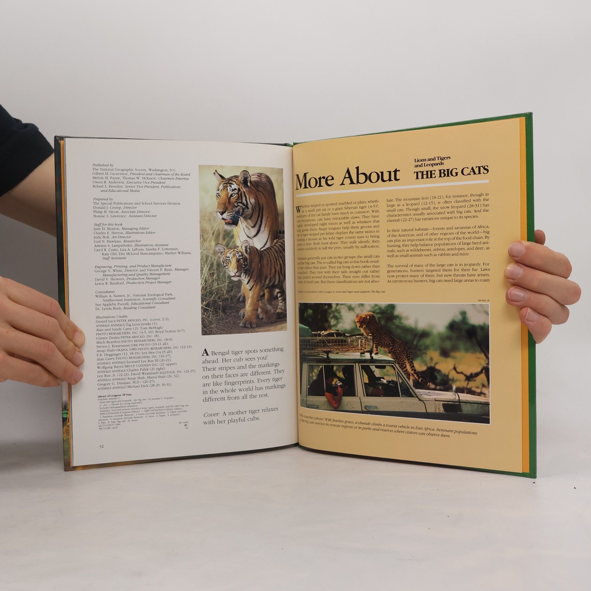 Jennifer C. Urquhart Books for Young Explorers: The Big Cats