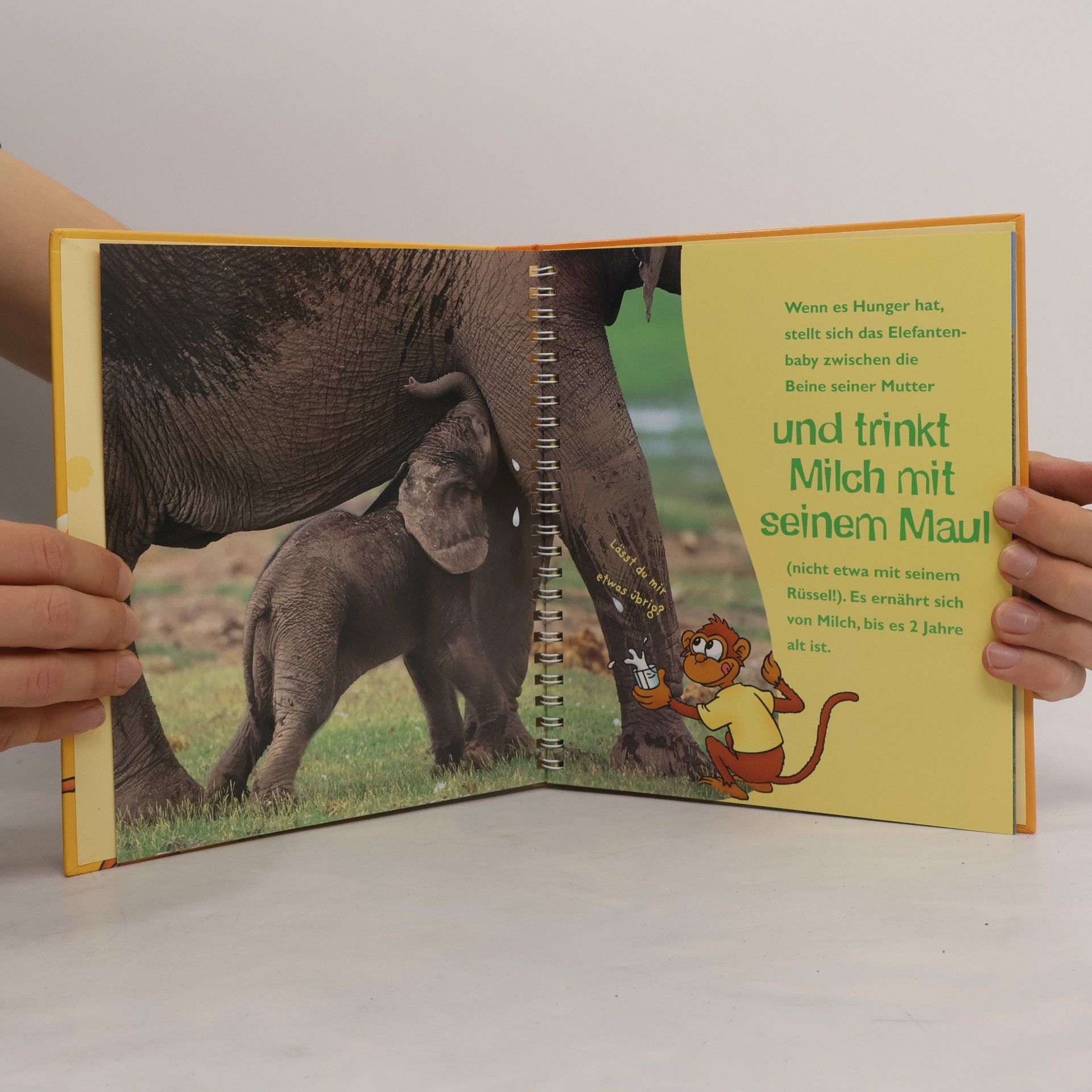 Marion Clausen Bobu und der Elefant