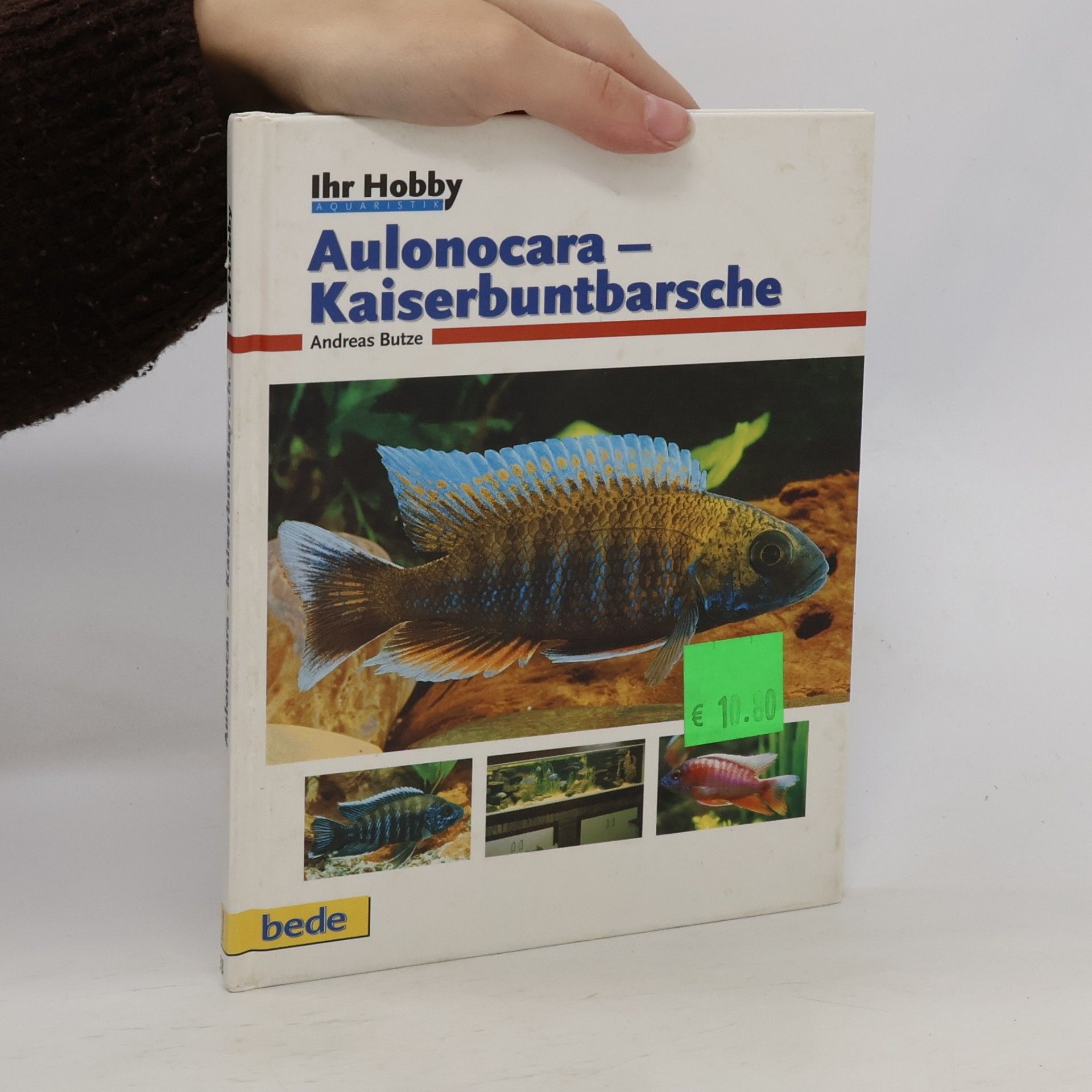 Aulonocara - Kaiserbuntbarsche