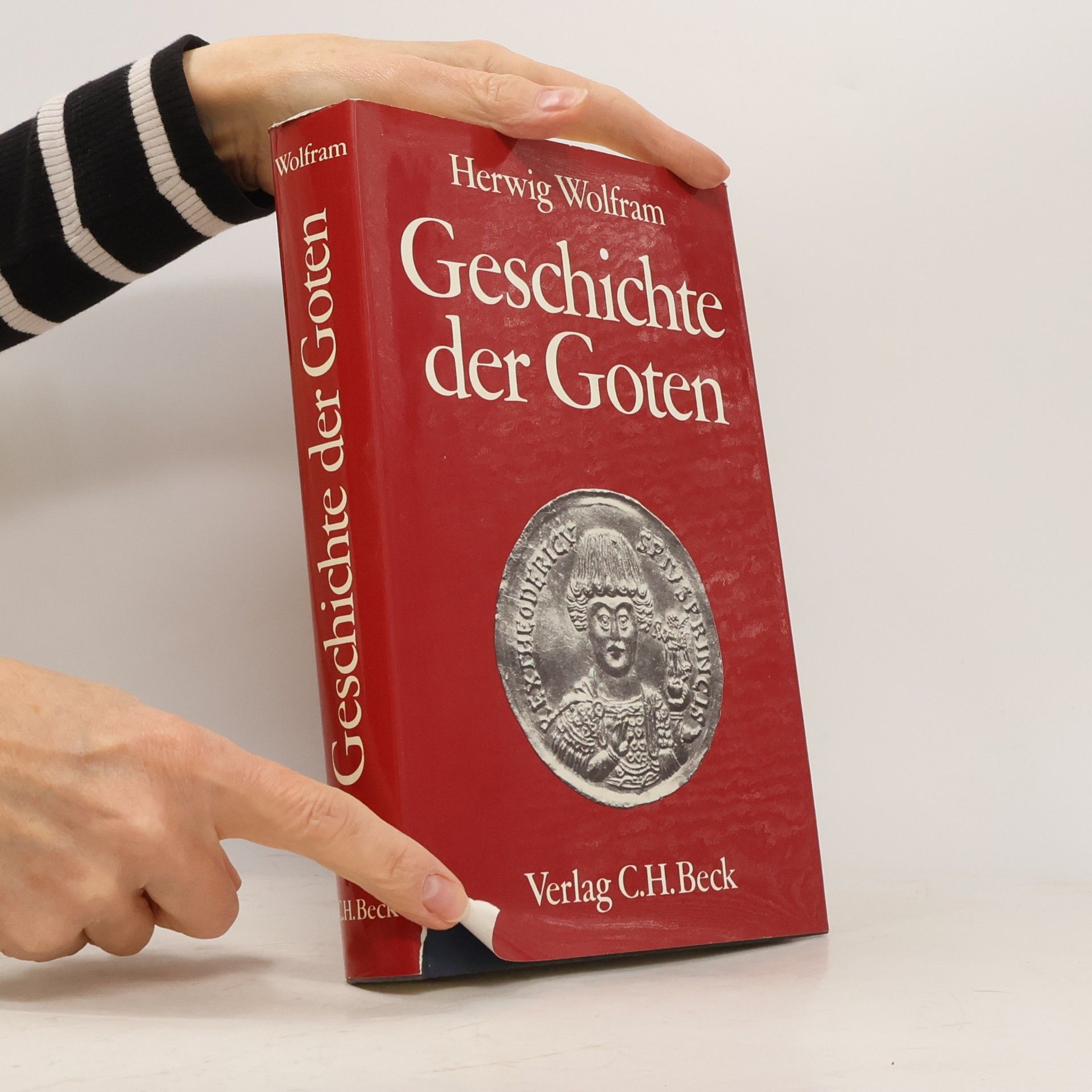 Herwig Wolfram Geschichte der Goten