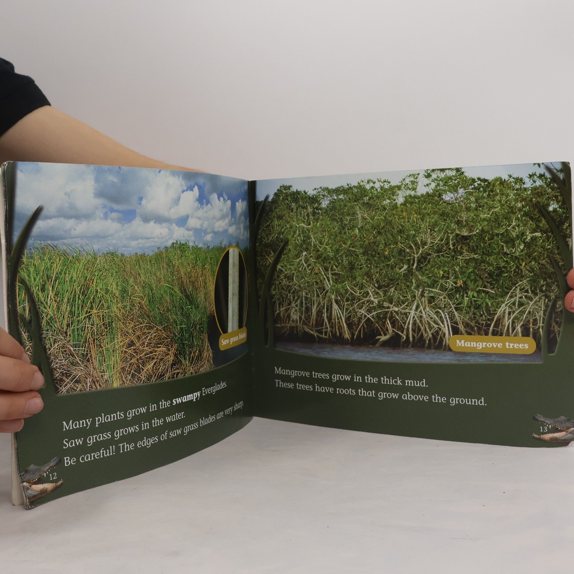 Steck-Vaughn Company Steck-vaughn Shutterbug Books: Science: Alligator Alley