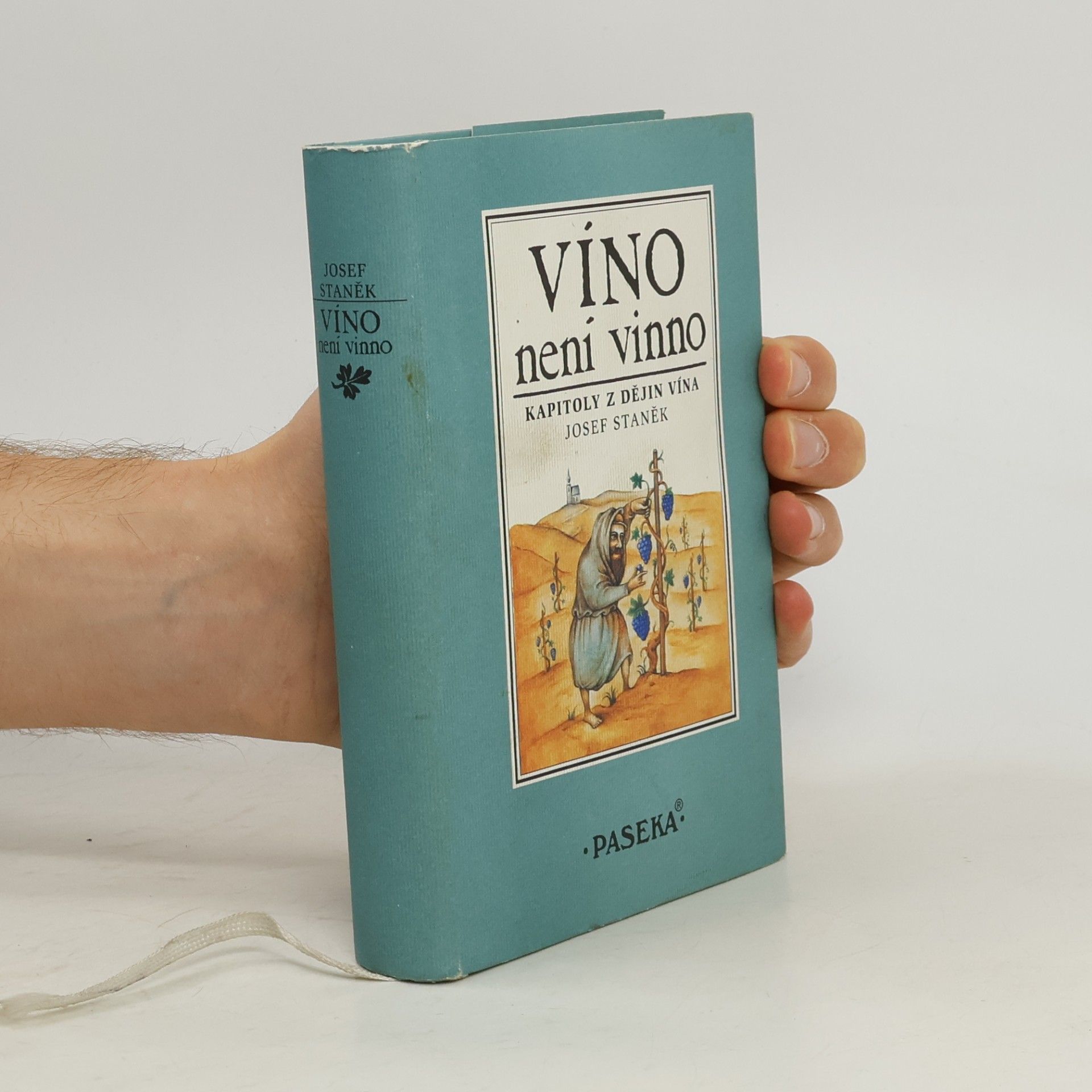 Víno není vinno : kapitoly z dějin vína