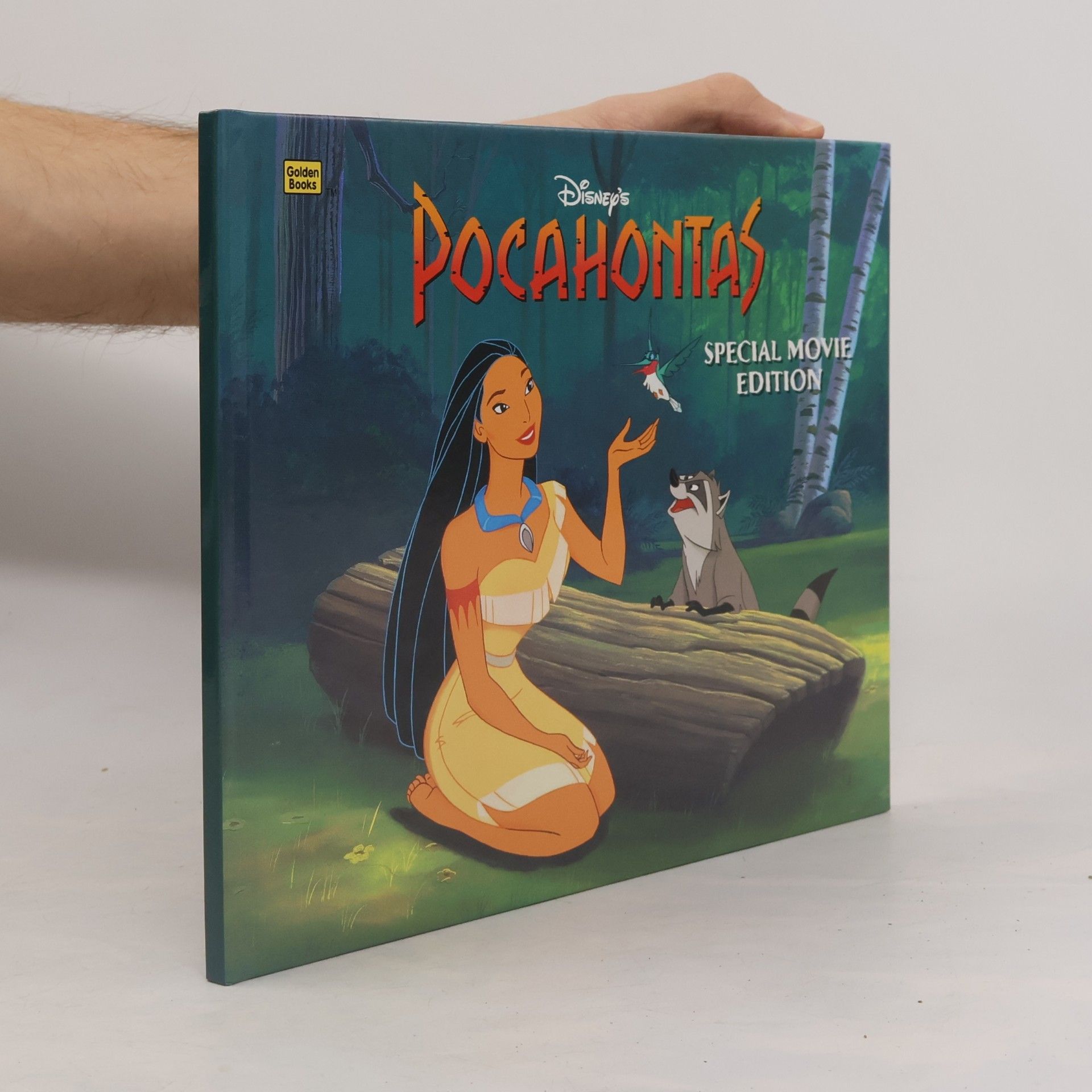 Autorenkollektiv Pocahontas