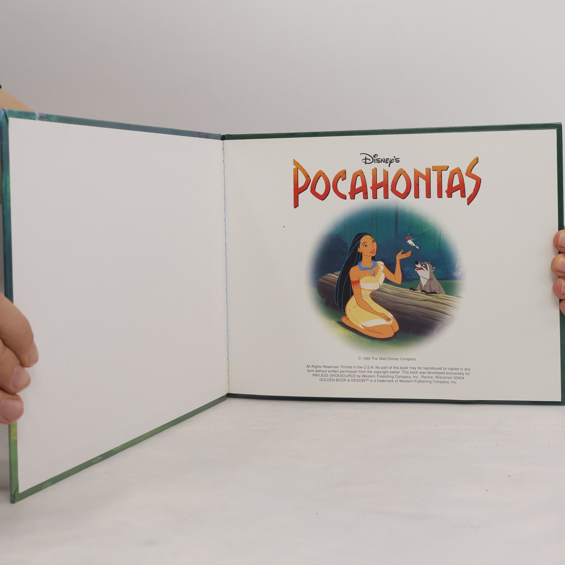 Autorenkollektiv Pocahontas