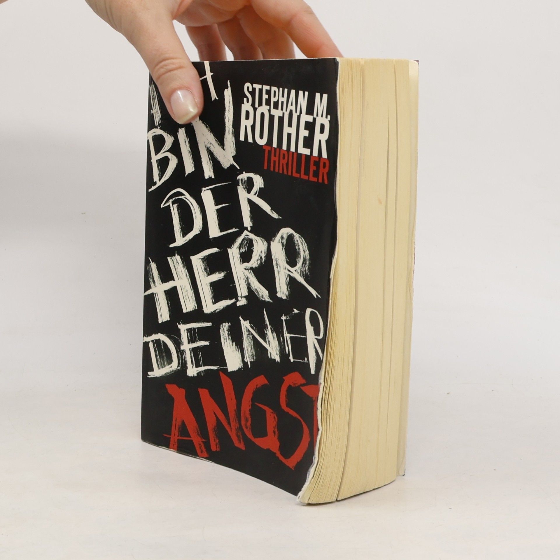 Stephan Rother Ich bin der Herr deiner Angst