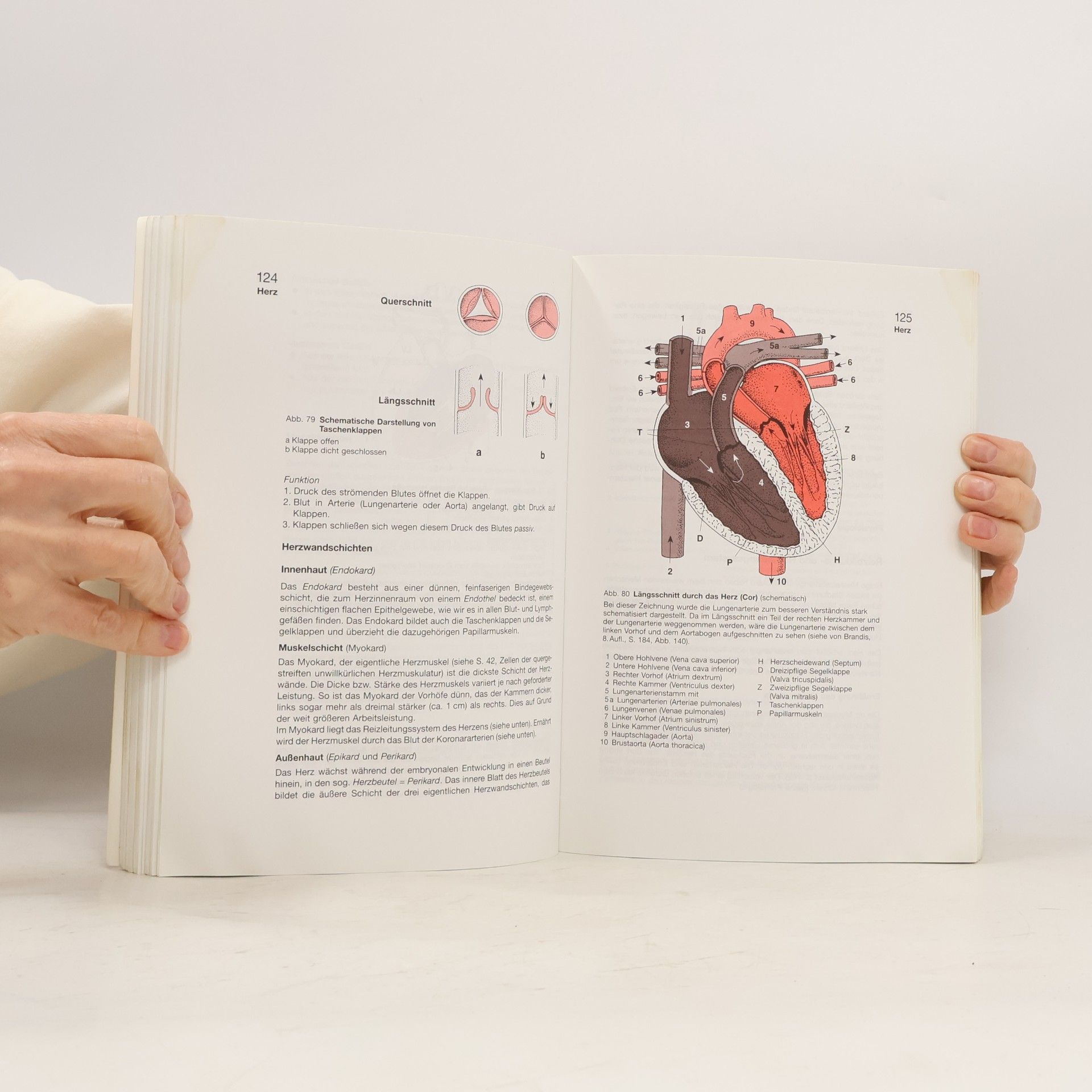 Erica Brühlmann-Jecklin Arbeitsbuch Anatomie und Physiologie für Krankenschwestern, Krankenpfleger und andere Medizinalfachberufe